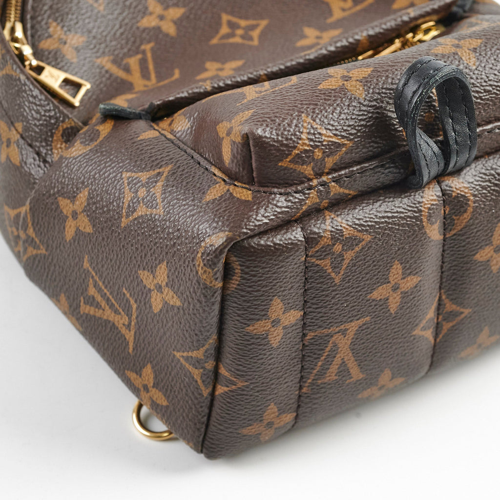Louis Vuitton Mini Palm Spring Monogram