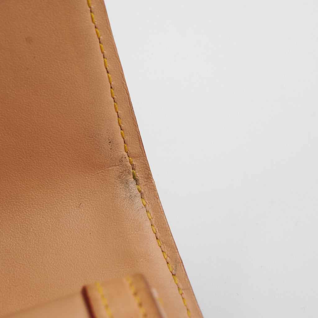 Louis Vuitton Multicolour Wallet