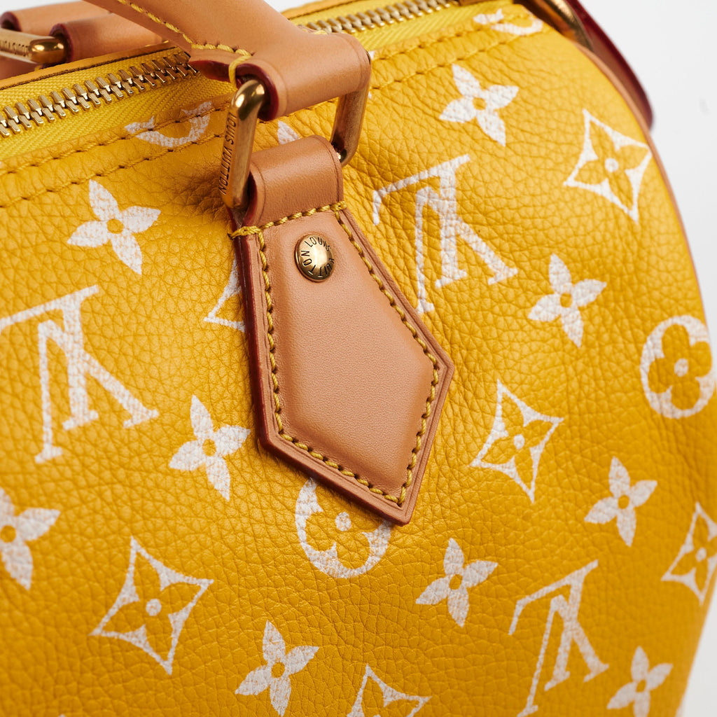 Louis Vuitton Speedy P9 Bandouli猫re 25 Jaune Mat