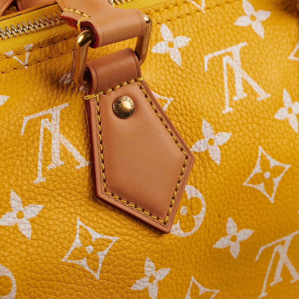 Louis Vuitton Speedy P9 Bandouli猫re 25 Jaune Mat