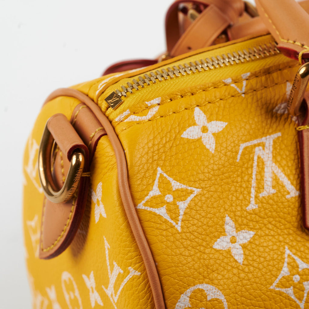 Louis Vuitton Speedy P9 Bandouli猫re 25 Jaune Mat