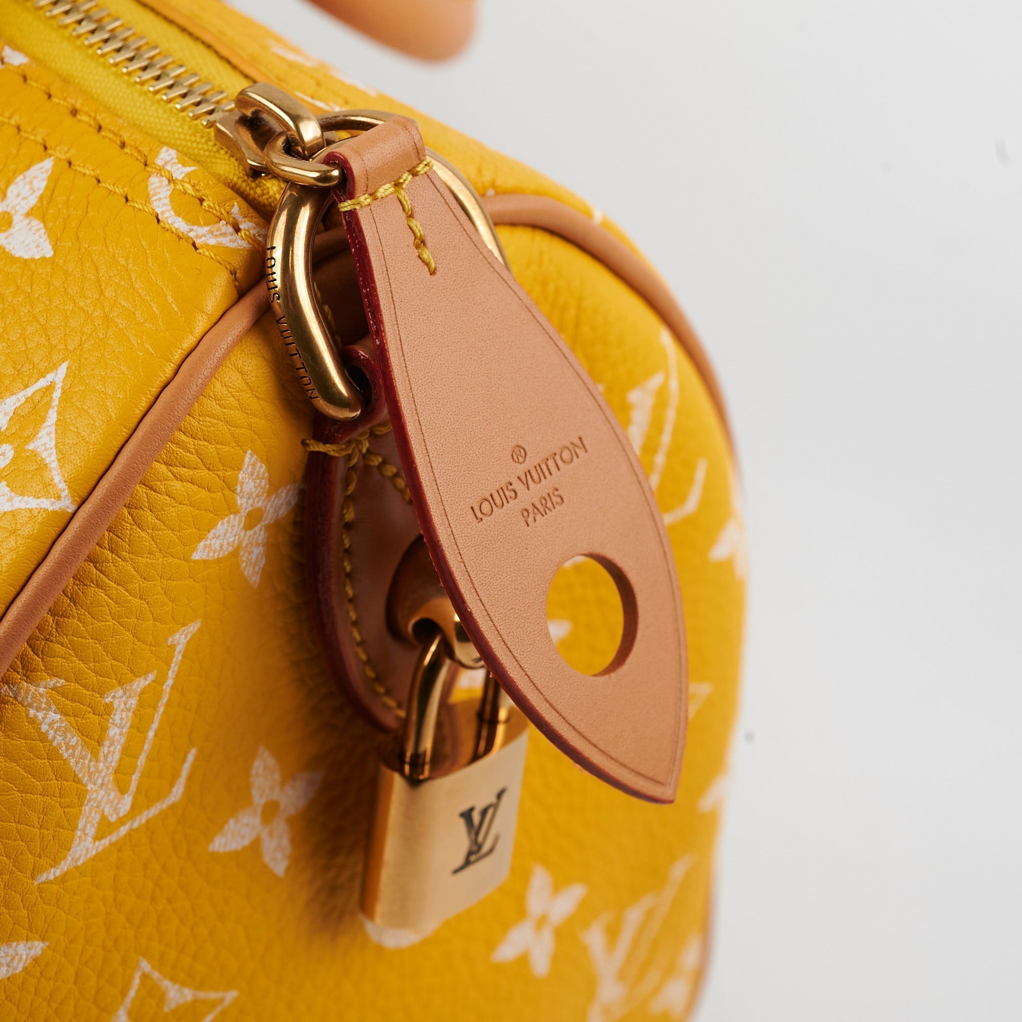 Louis Vuitton Speedy P9 Bandouli猫re 25 Jaune Mat