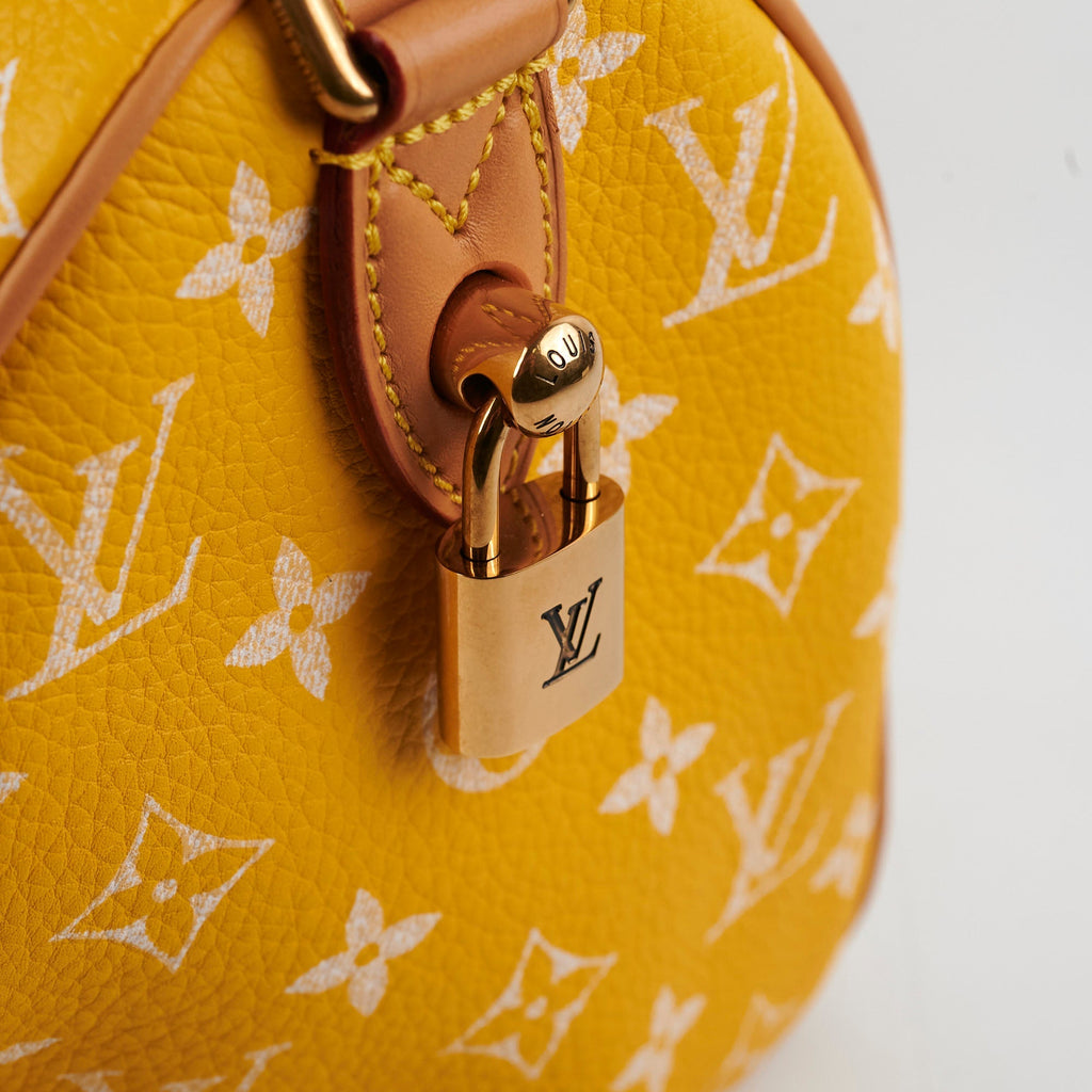 Louis Vuitton Speedy P9 Bandouli猫re 25 Jaune Mat