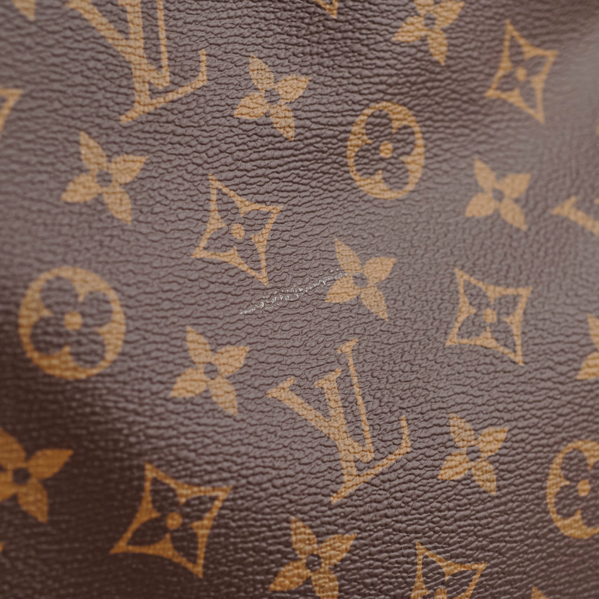 Louis Vuitton Artsy MM Monogram