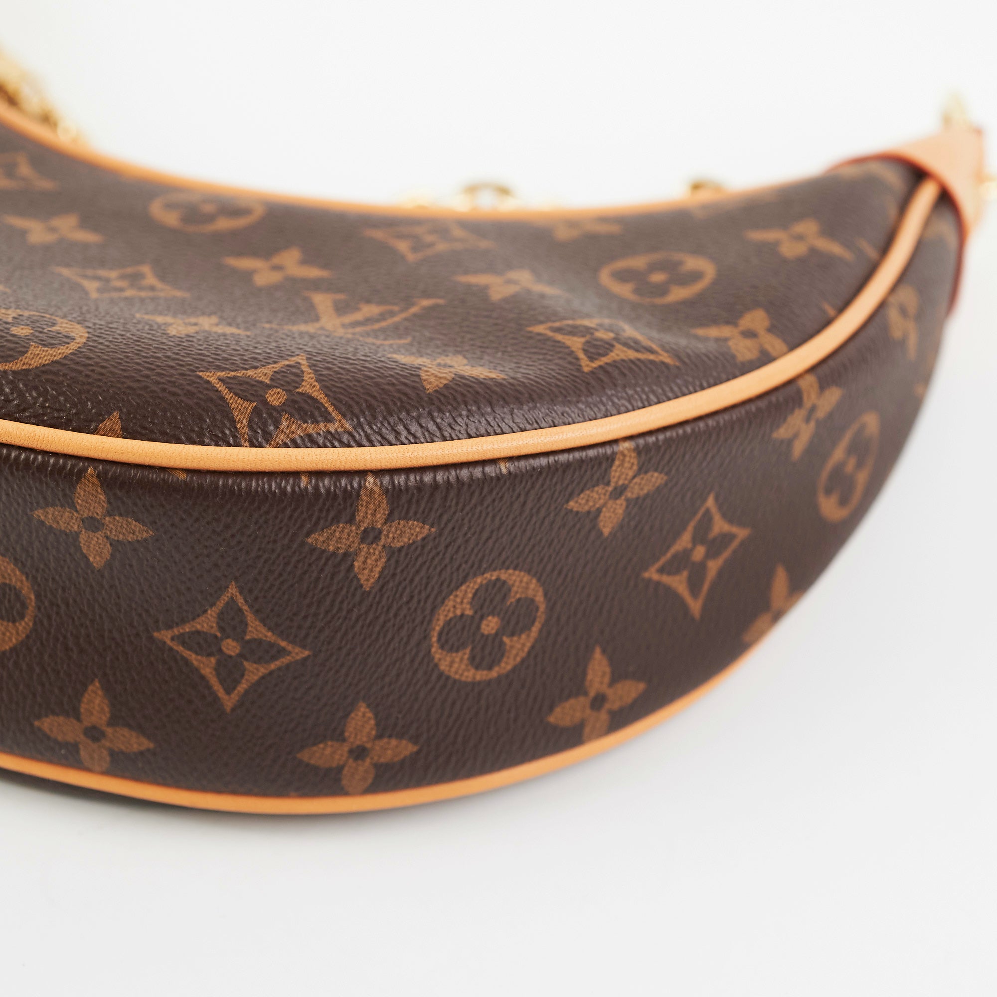 Louis Vuitton Loop bag Monogram