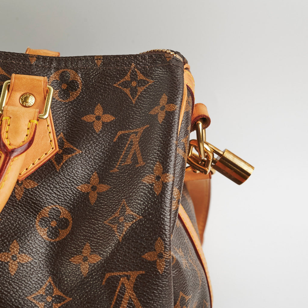 Louis Vuitton Speedy 30  Bandouli猫re