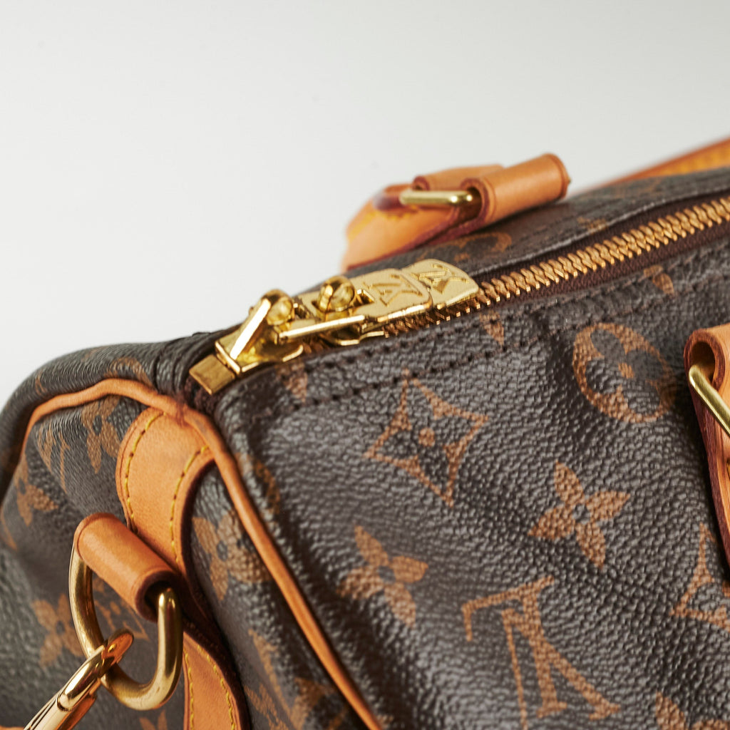 Louis Vuitton Speedy 30  Bandouli猫re