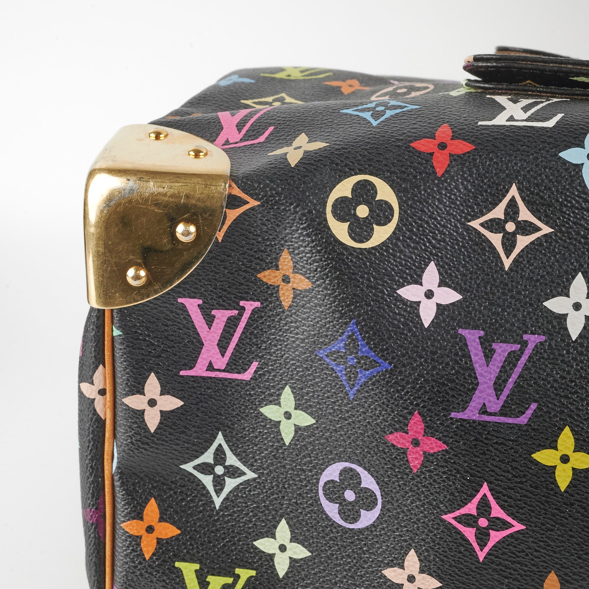 Louis Vuitton Multicolour Speedy 30