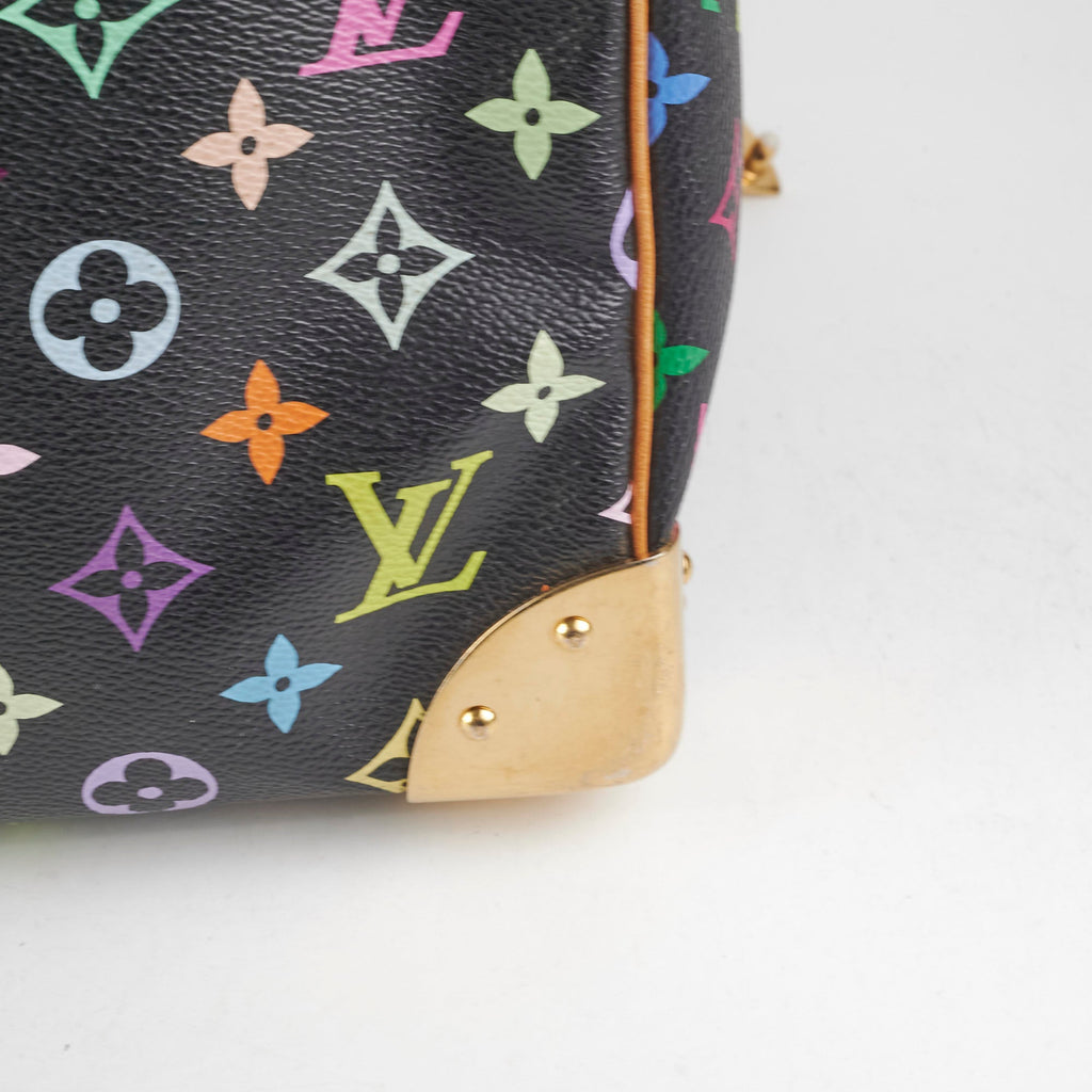 Louis Vuitton Multicolour Speedy 30