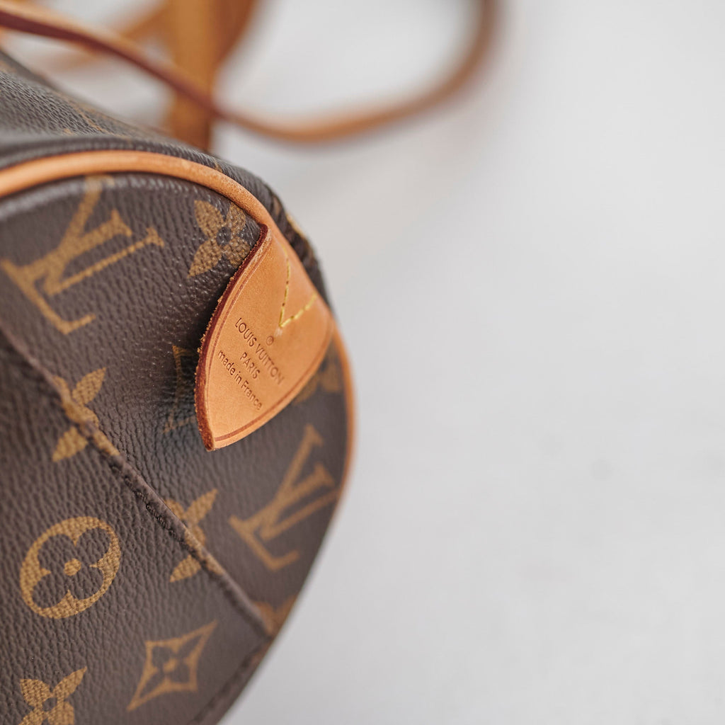 Louis Vuitton Papillon 30 Monogram Shoulder Bag
