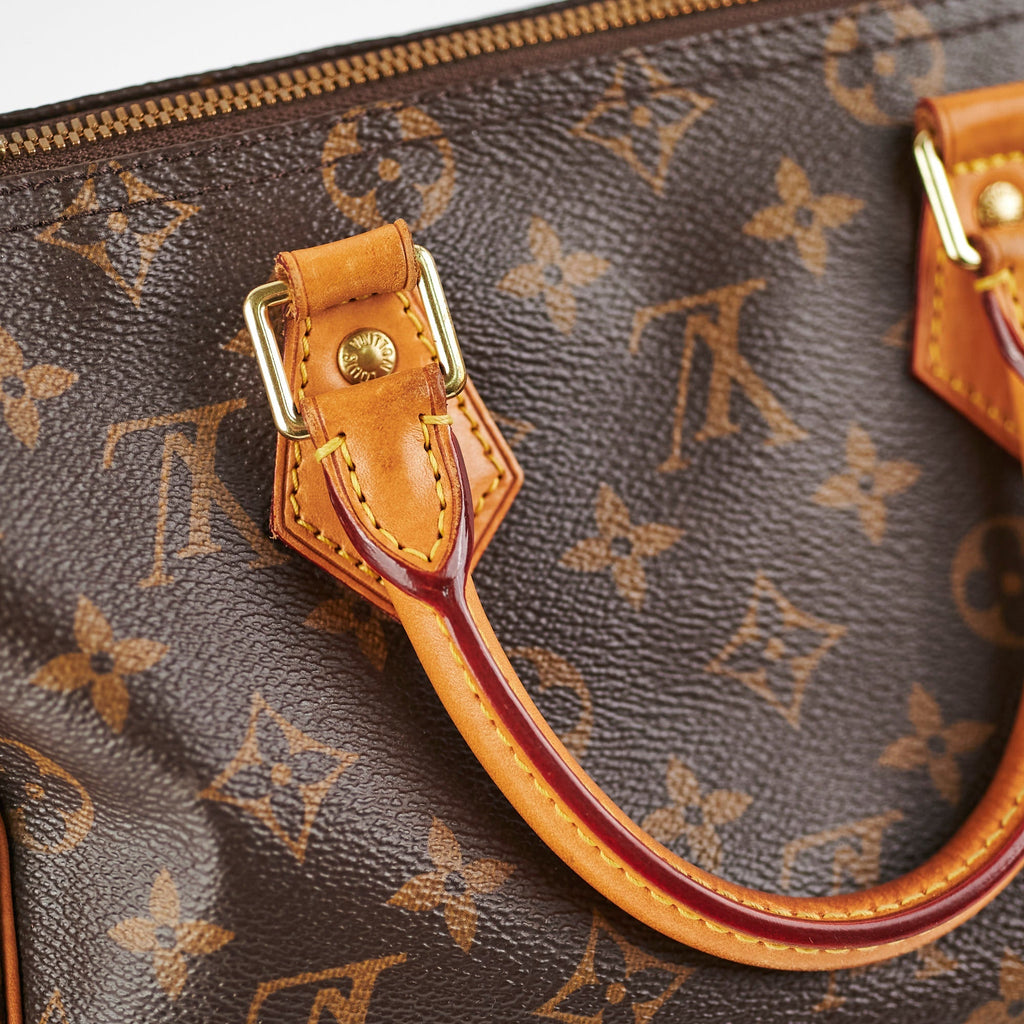Louis Vuitton Speedy Bandouli猫re 25 Monogram