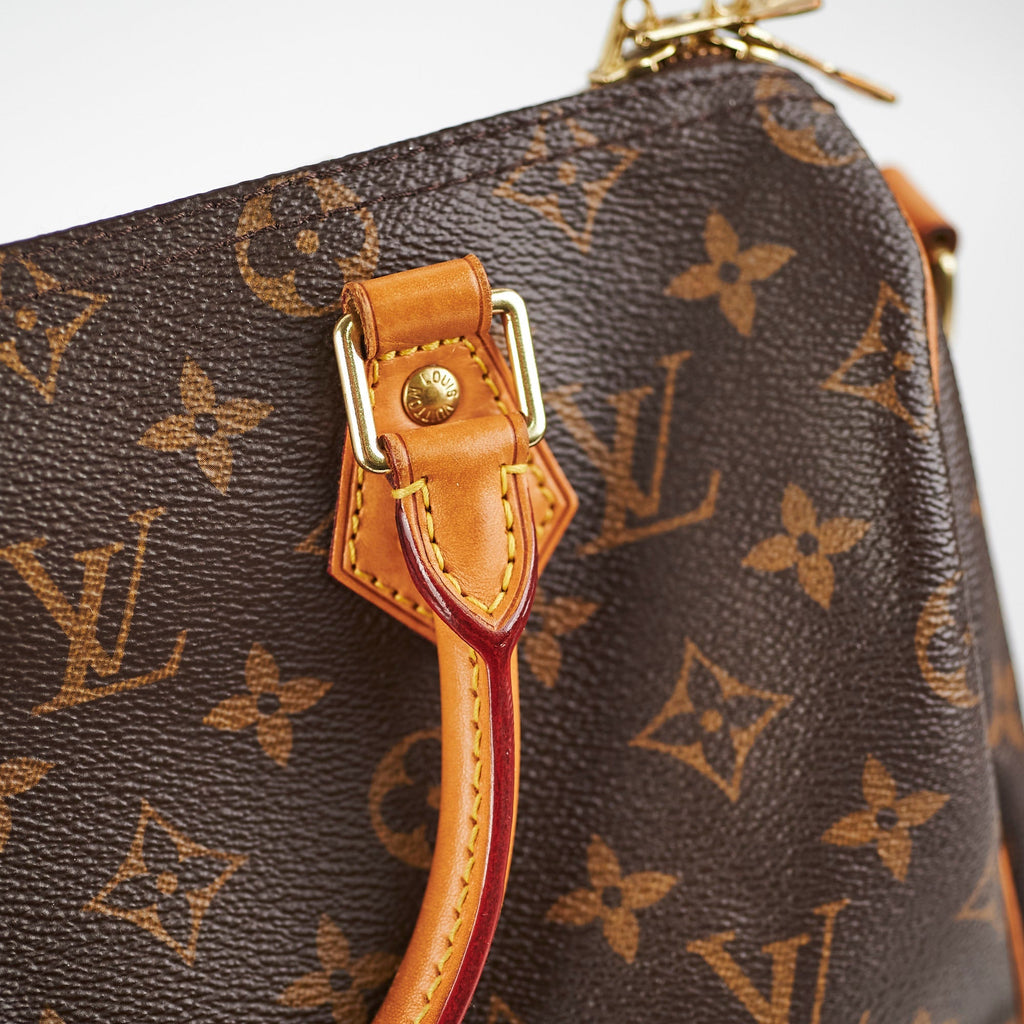 Louis Vuitton Speedy Bandouli猫re 25 Monogram