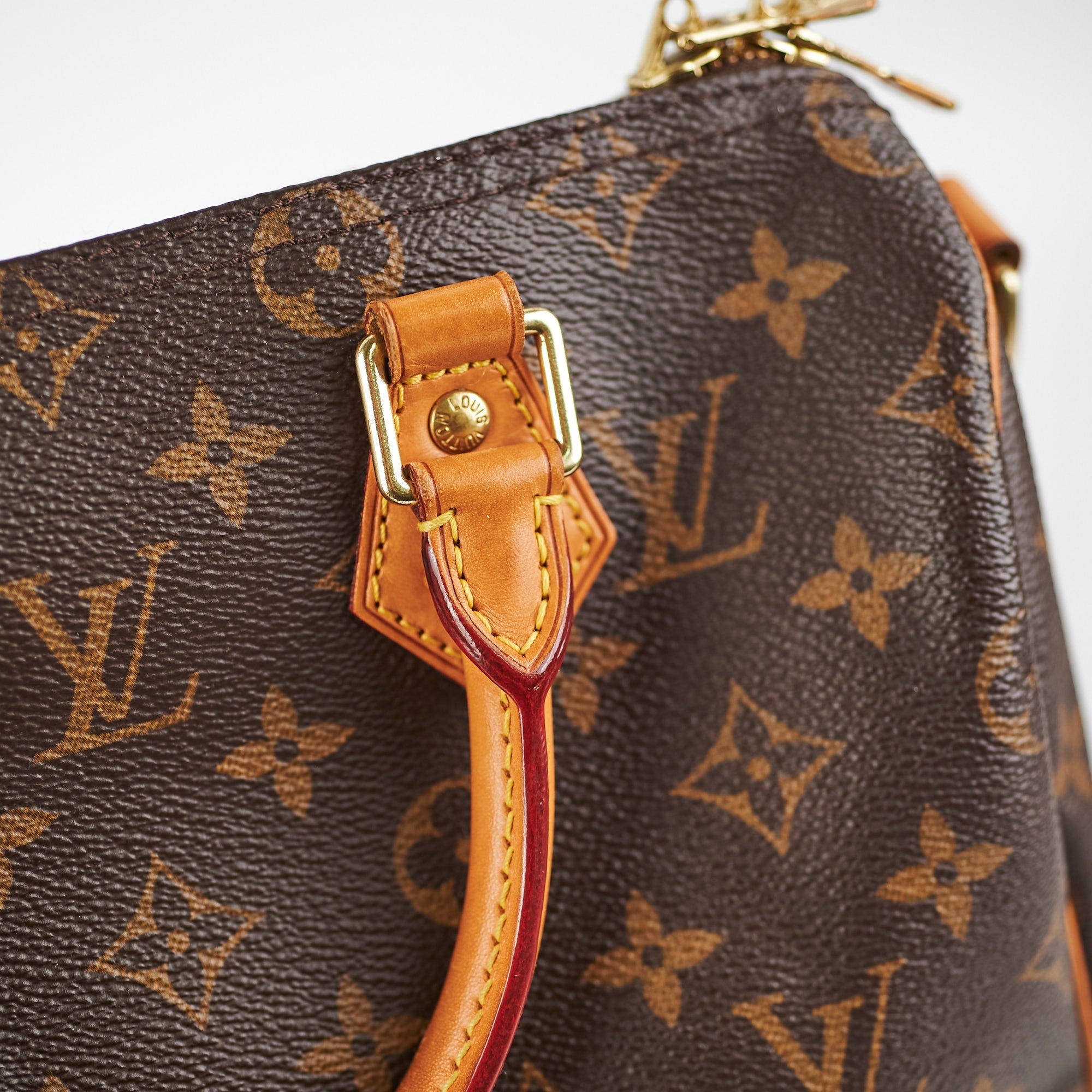 Louis Vuitton Speedy Bandouli猫re 25 Monogram