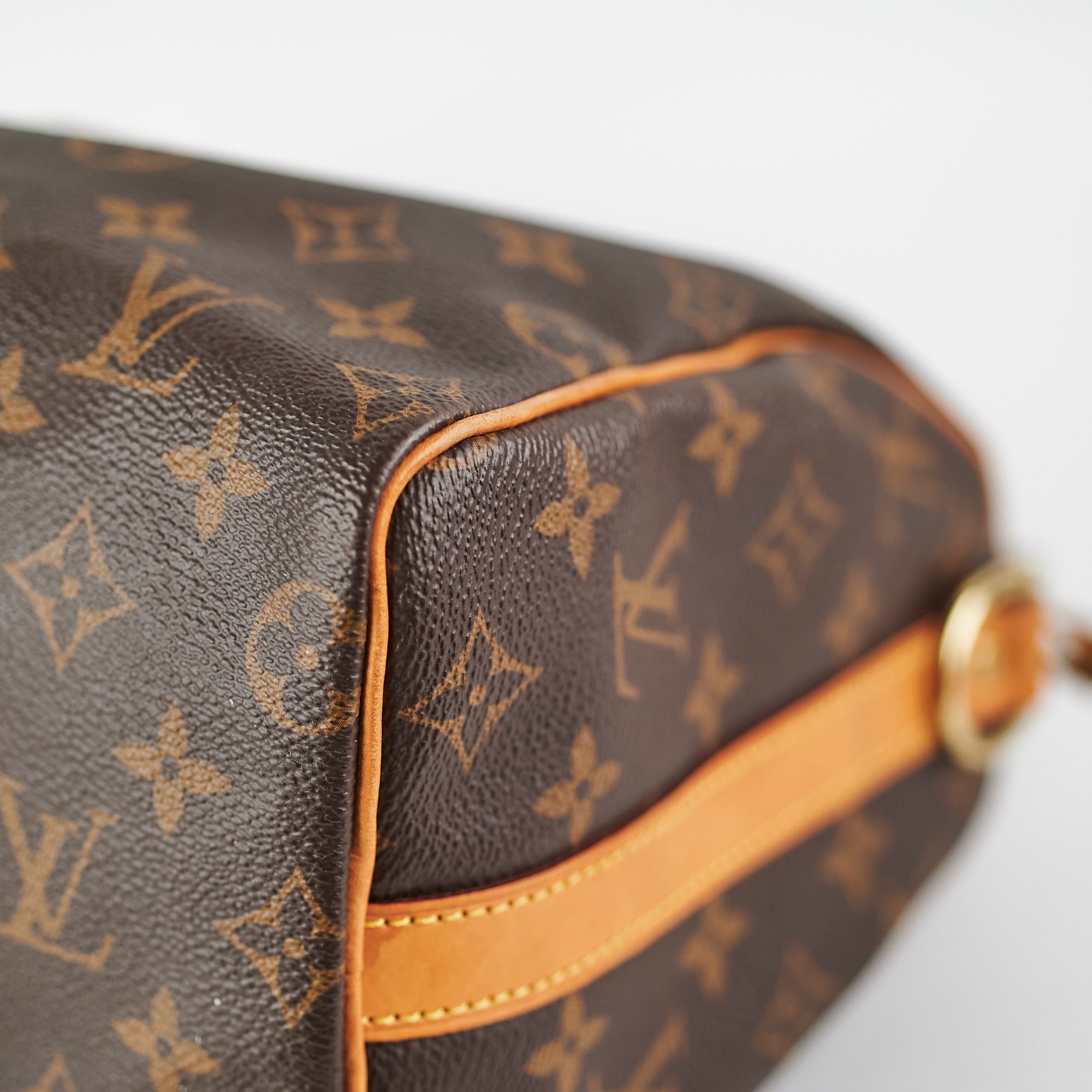 Louis Vuitton Speedy Bandouli猫re 25 Monogram