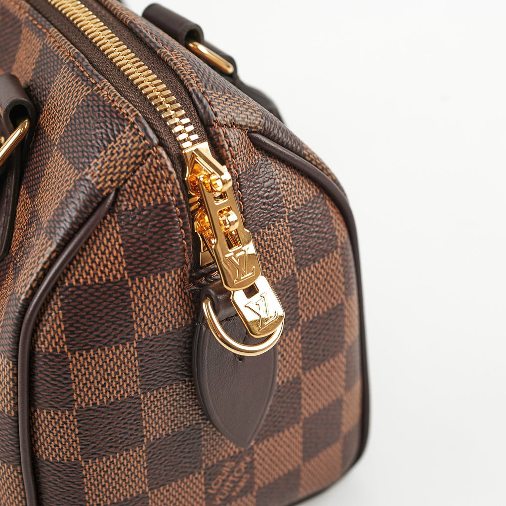 Louis Vuitton Speedy 20 Damier Ebene Canvas 2024 Microchip