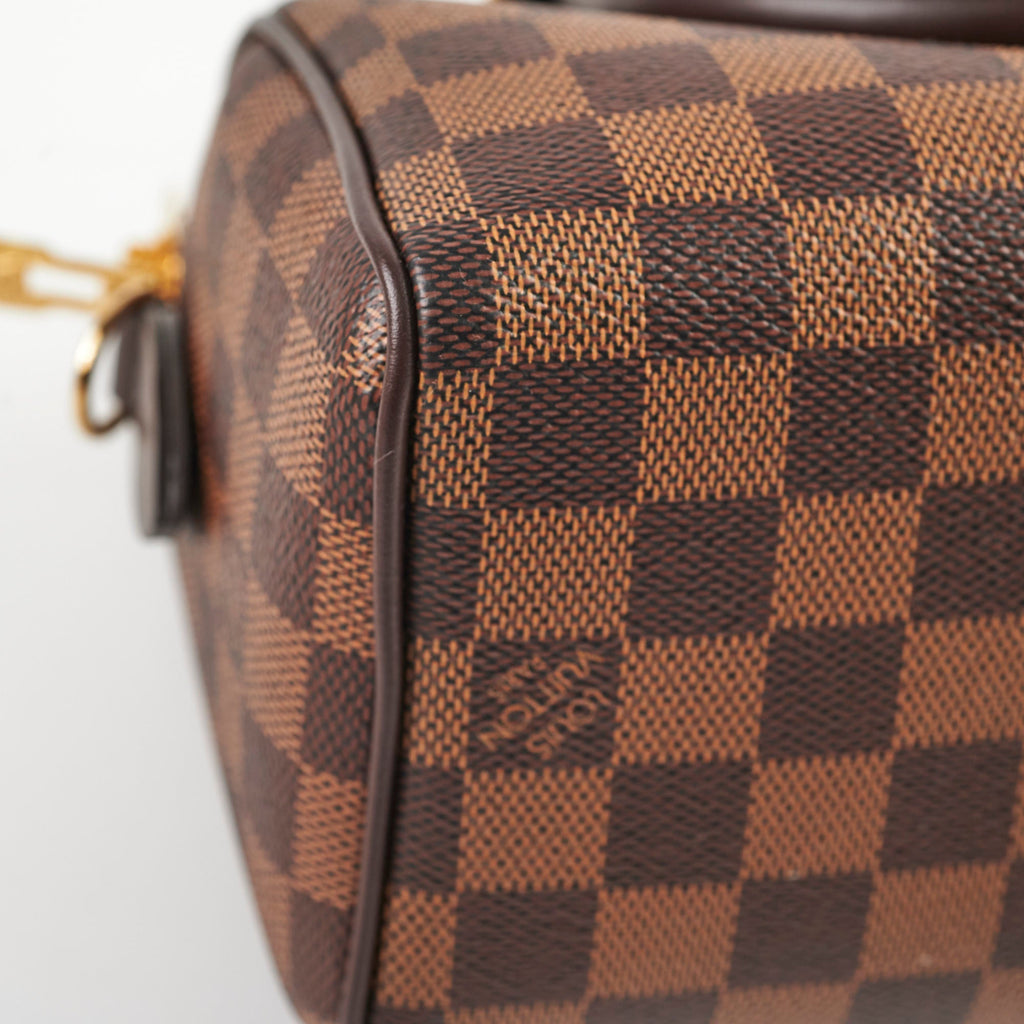 Louis Vuitton Speedy 20 Damier Ebene Canvas 2024 Microchip
