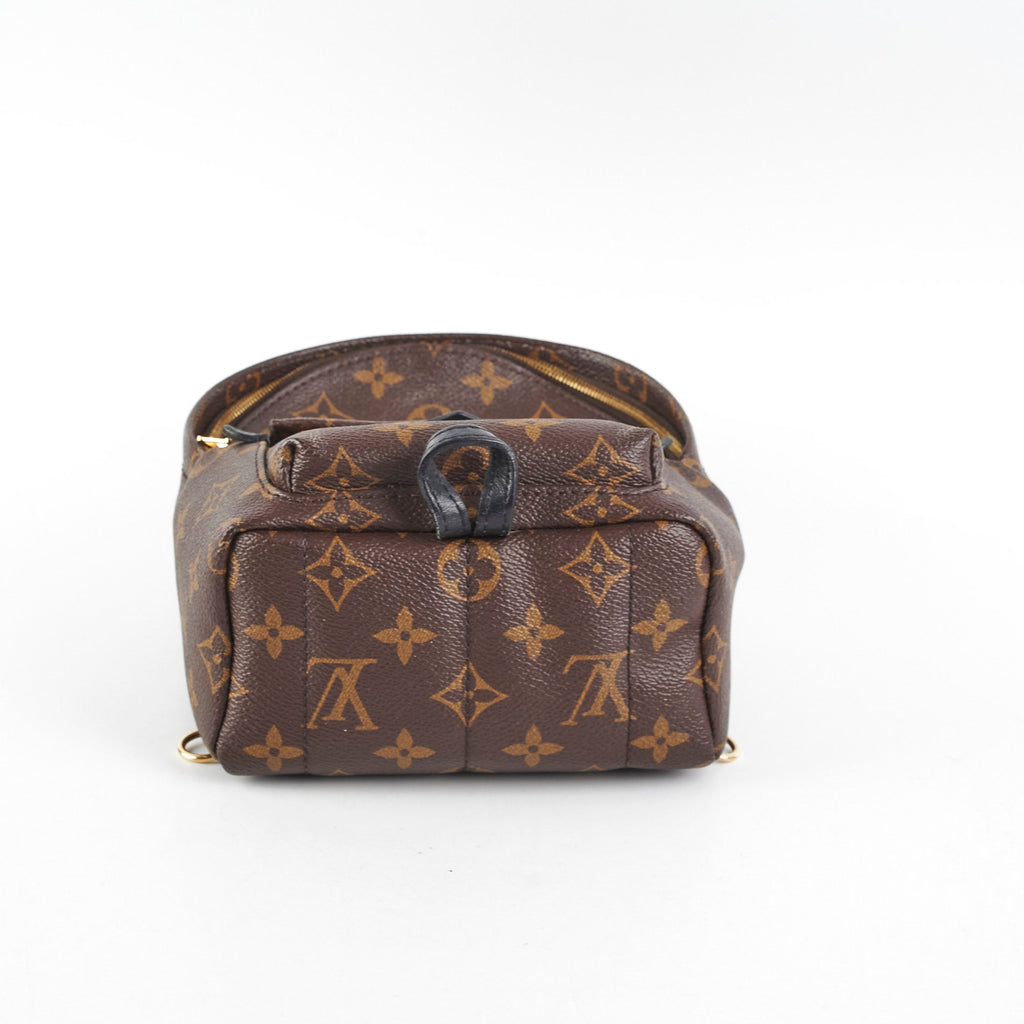 Louis Vuitton Palm Spring Mini Monorgam