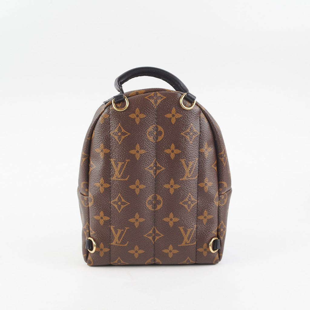 Louis Vuitton Palm Springs Mini Monogram