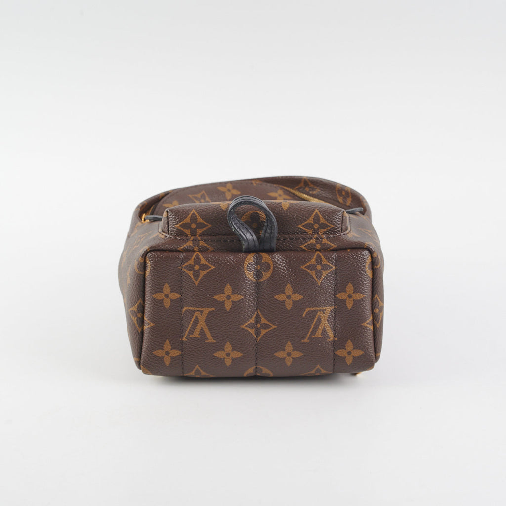Louis Vuitton Palm Springs Mini Monogram