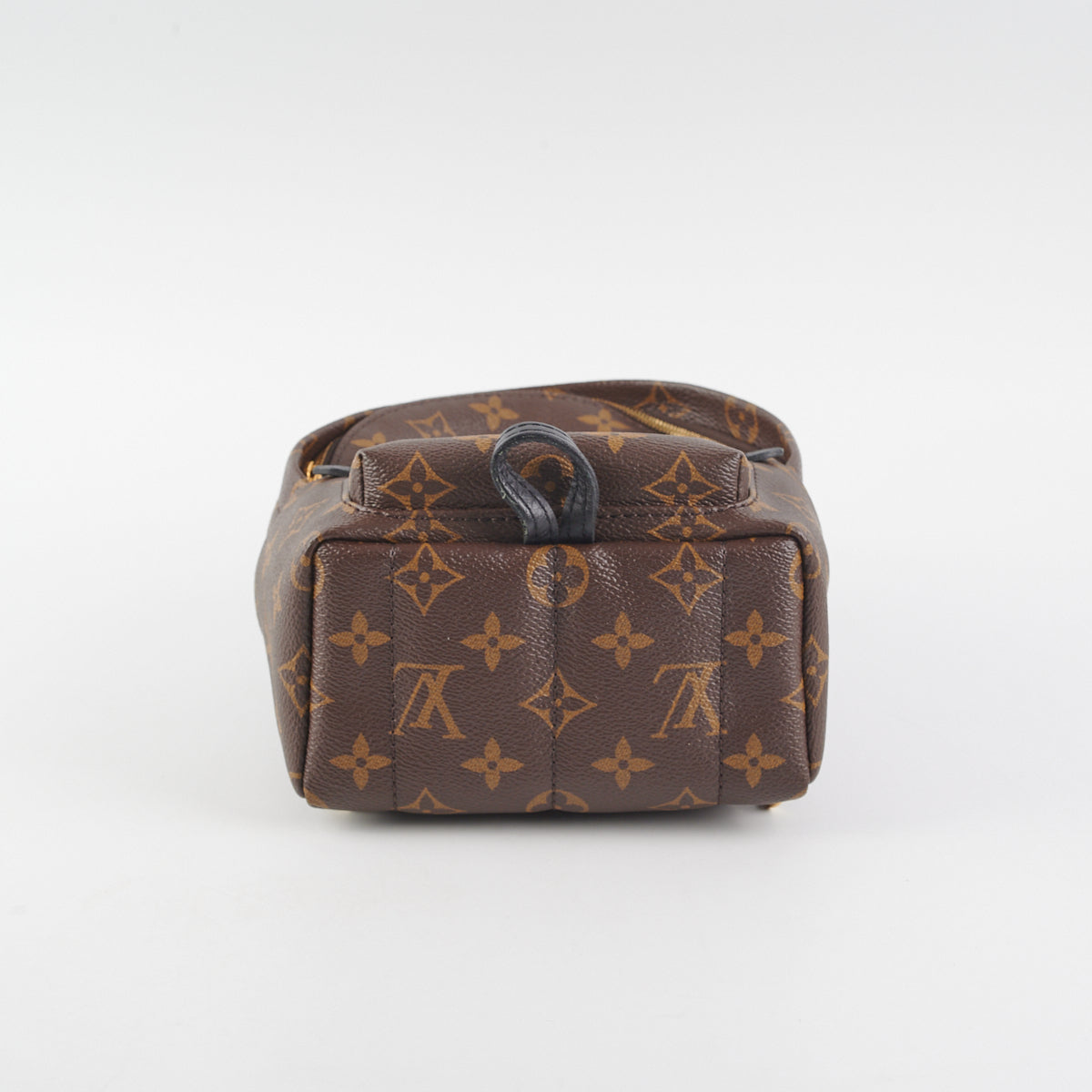Louis Vuitton Palm Springs Mini Monogram