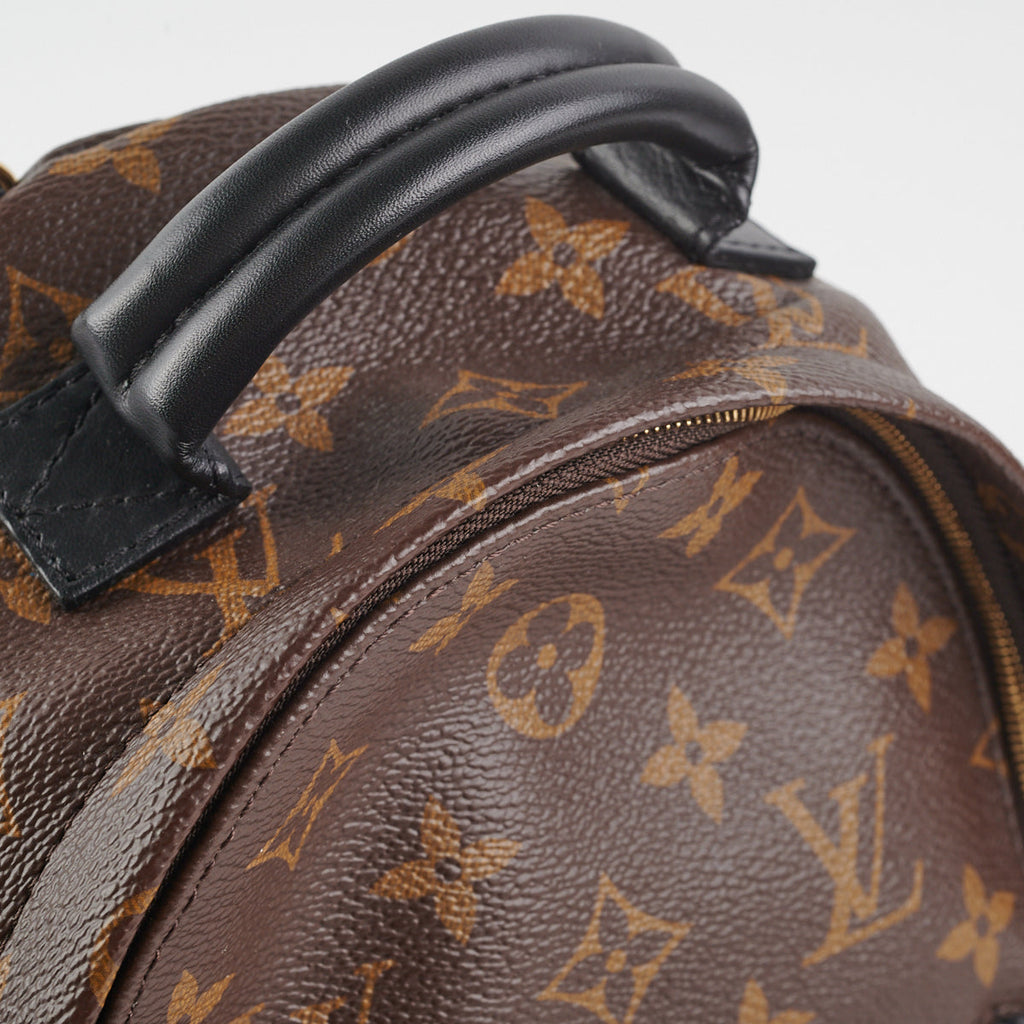 Louis Vuitton Palm Springs Mini Monogram