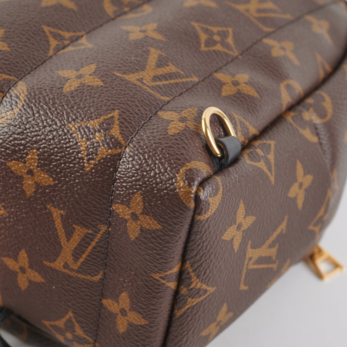 Louis Vuitton Palm Springs Mini Monogram