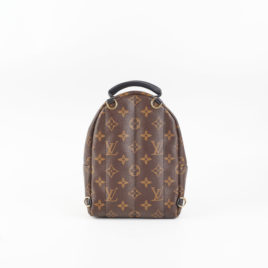 Louis Vuitton Mini Palm Springs Monogram