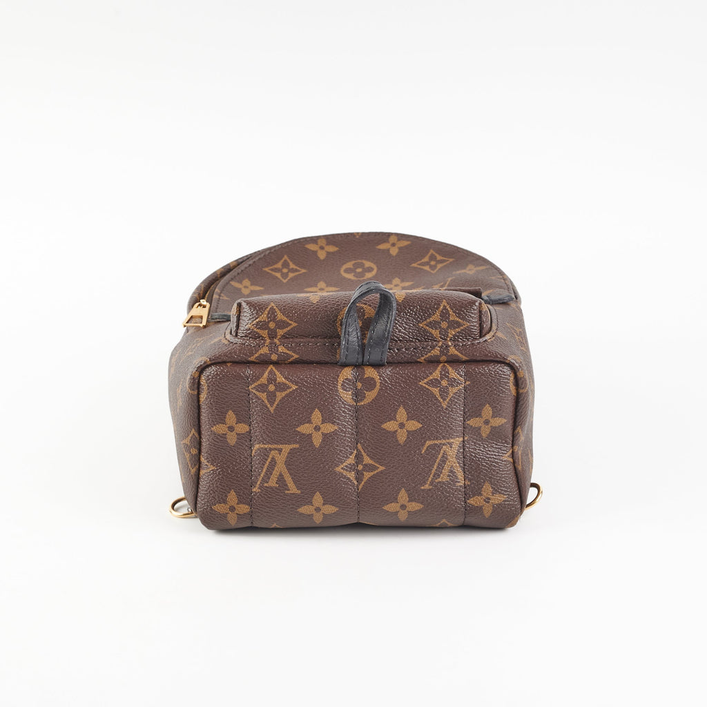 Louis Vuitton Mini Palm Springs Monogram