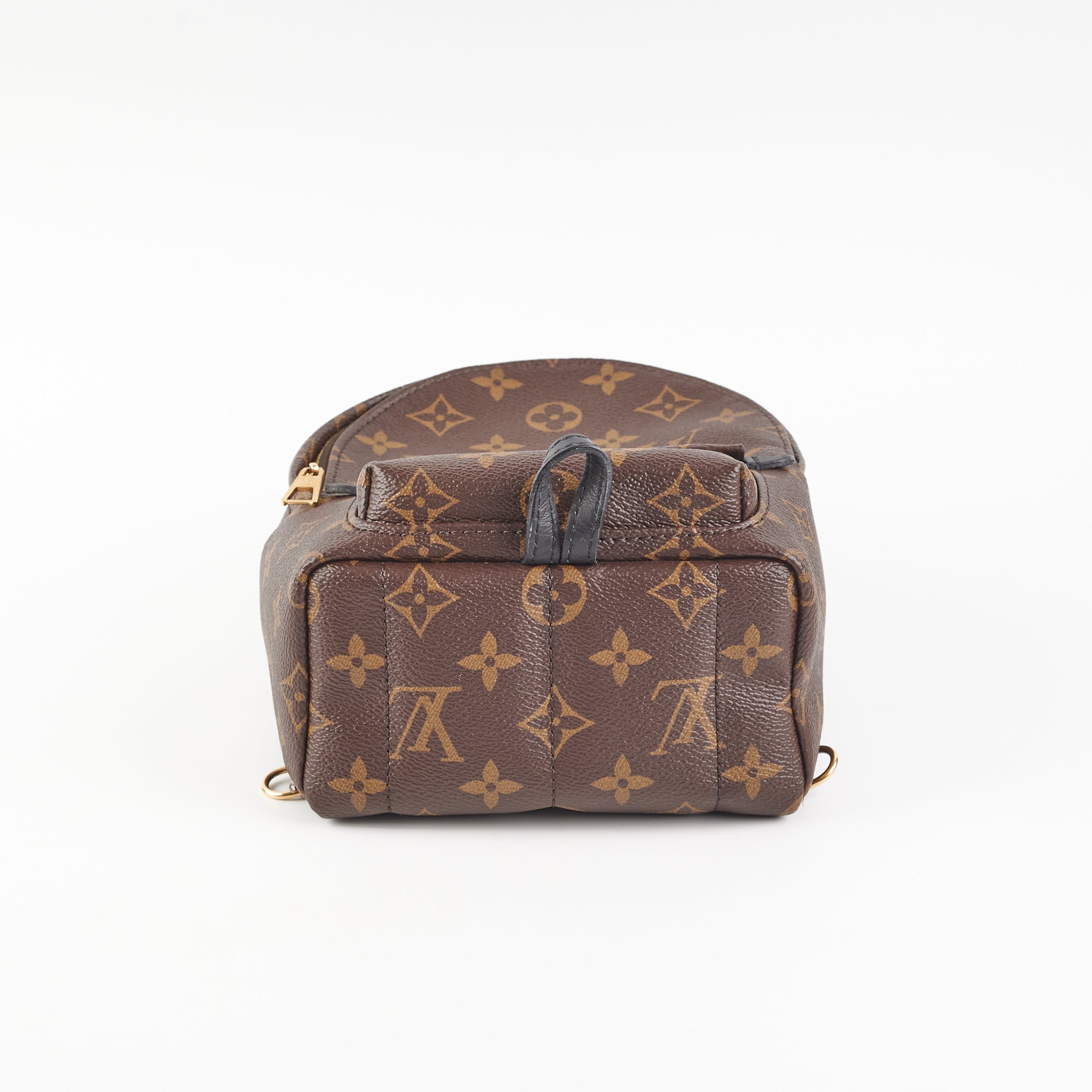 Louis Vuitton Mini Palm Springs Monogram