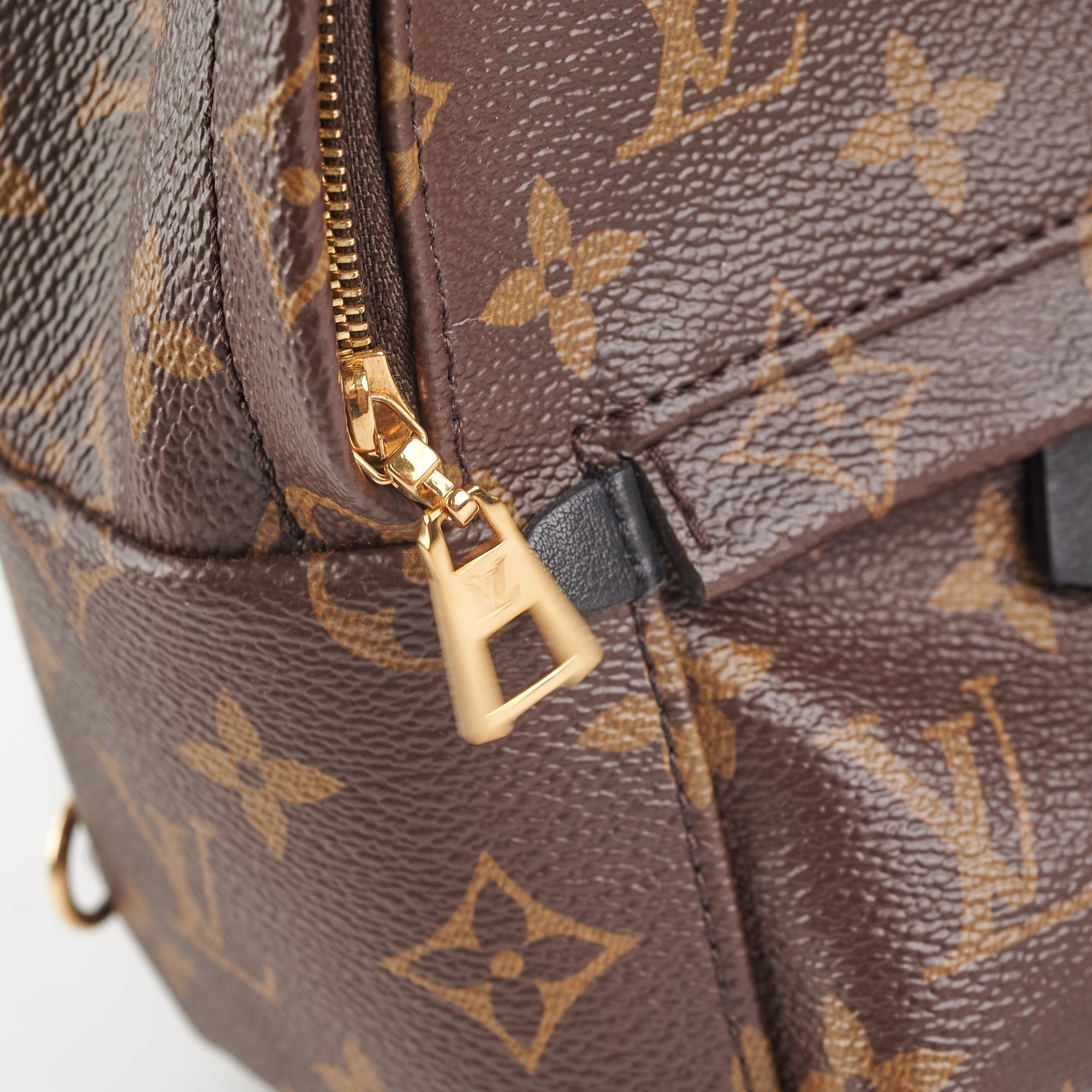 Louis Vuitton Mini Palm Springs Monogram