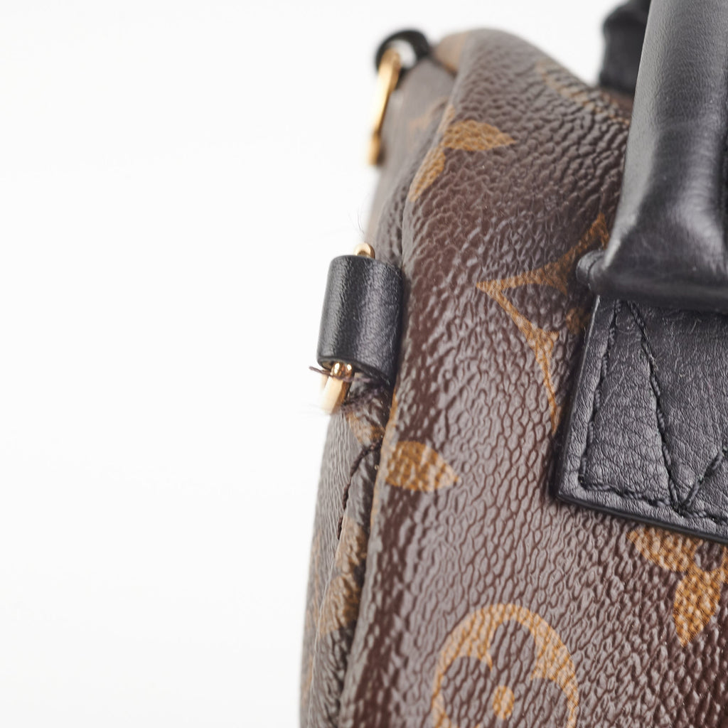 Louis Vuitton Mini Palm Springs Monogram