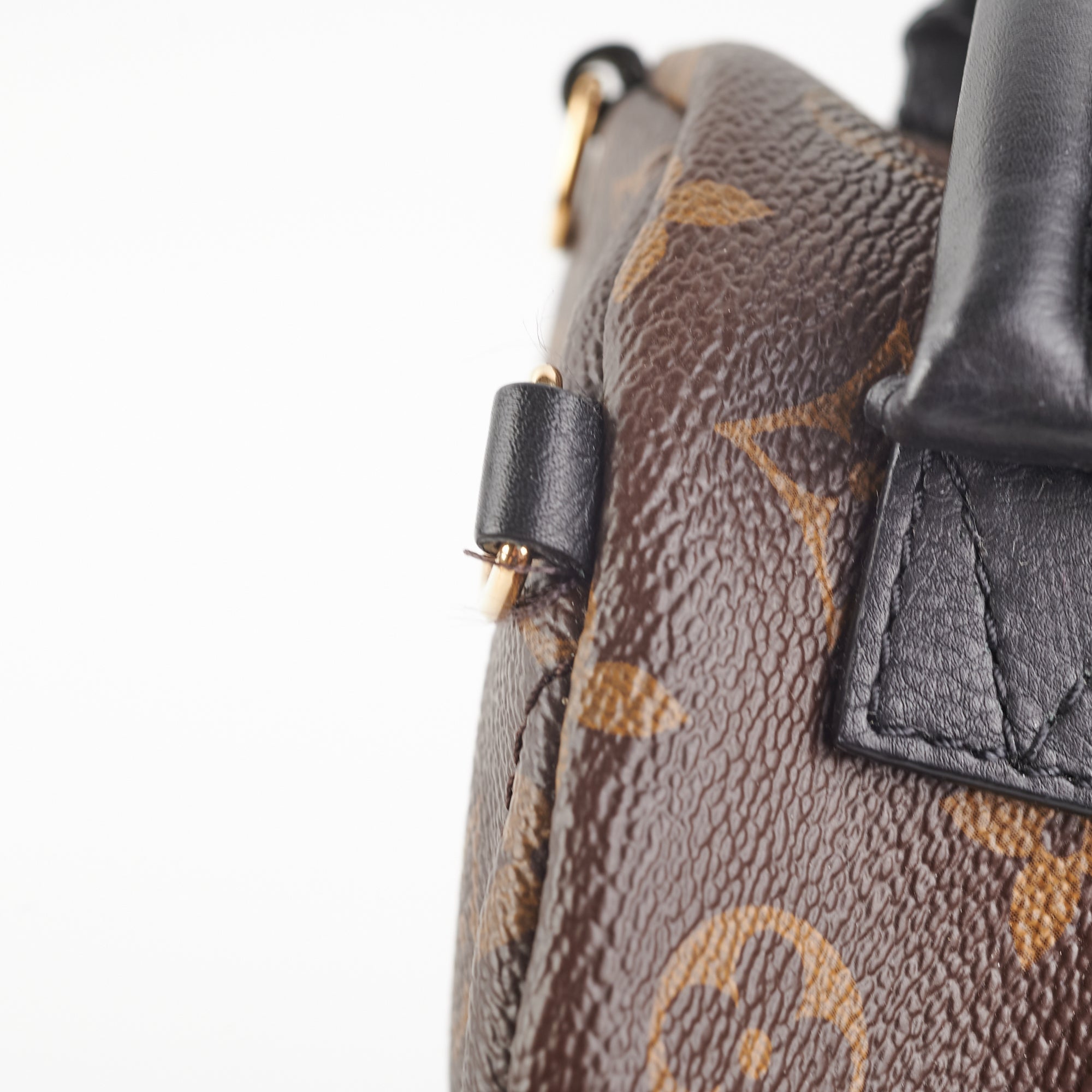 Louis Vuitton Mini Palm Springs Monogram