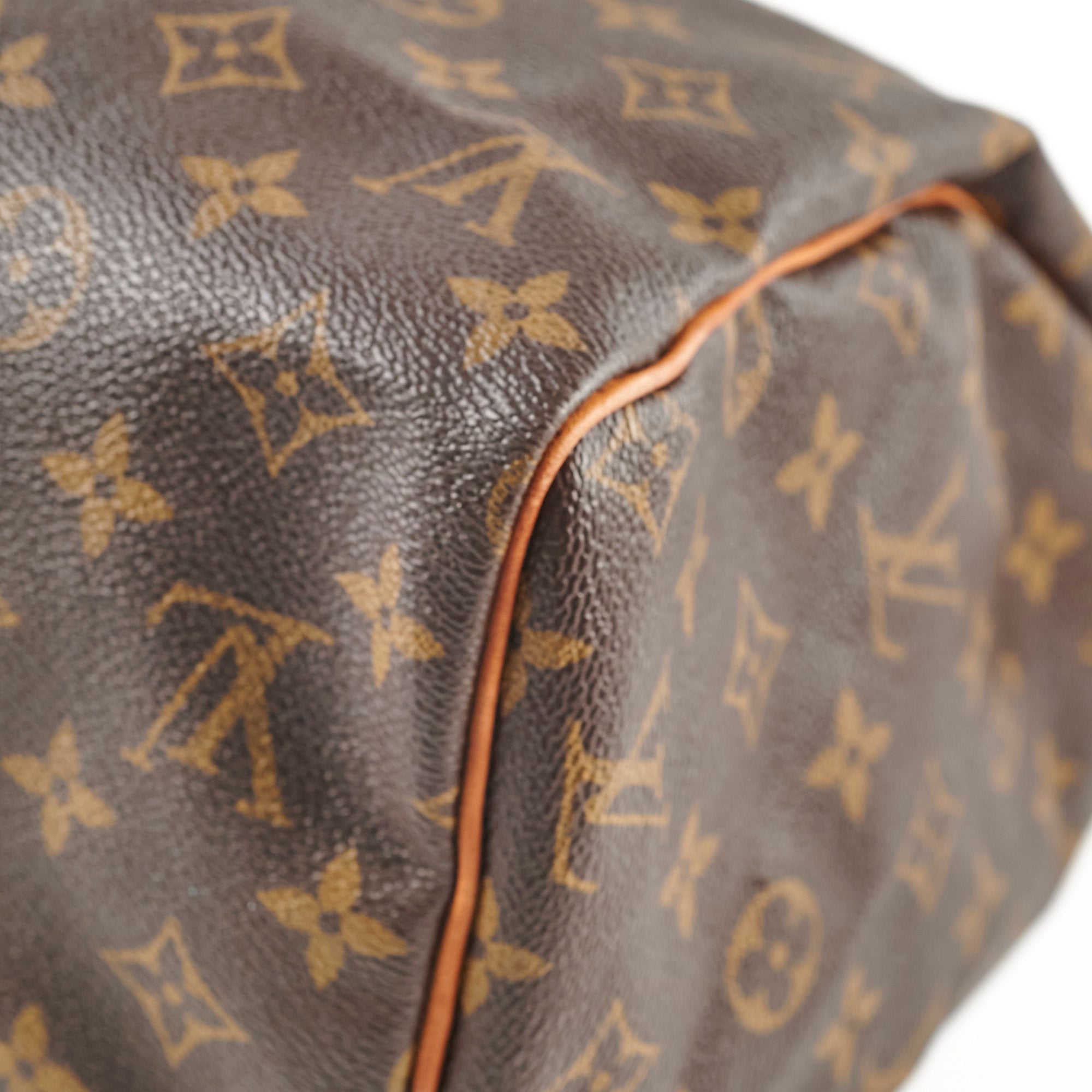 Louis Vuitton Speedy 30 Monogram Bag