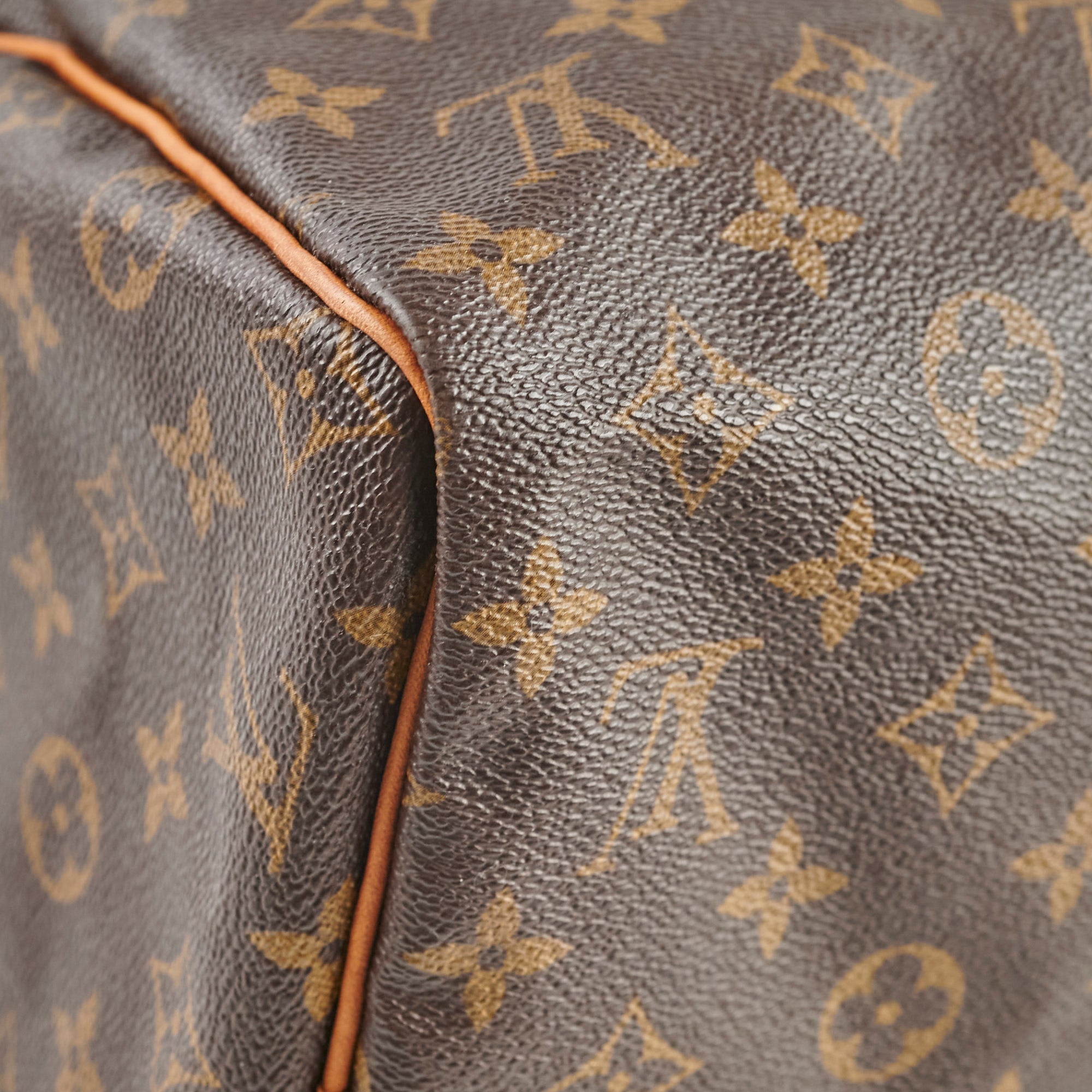 Louis Vuitton Speedy 30 Monogram Bag