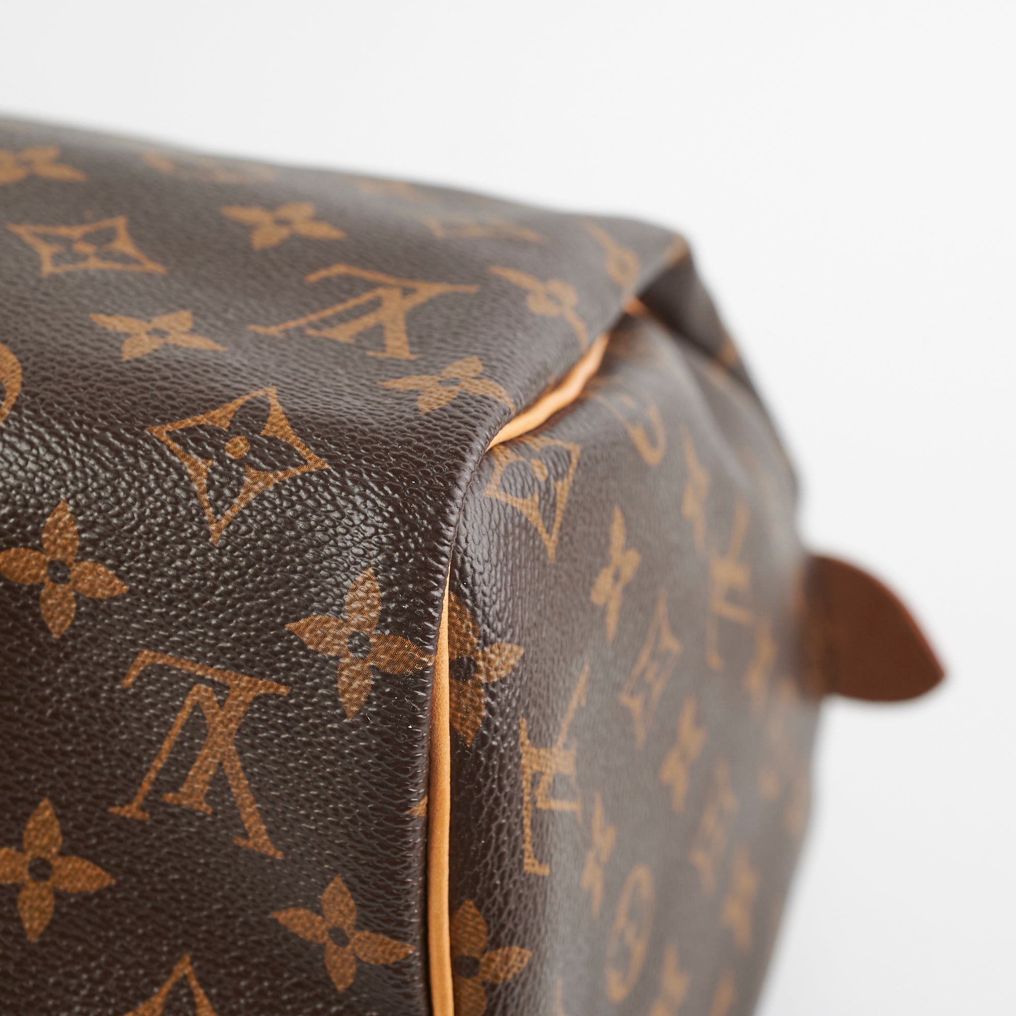 Louis Vuitton Speedy 30 Monogram