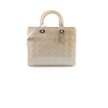 Christian Large Lady Dior Grey