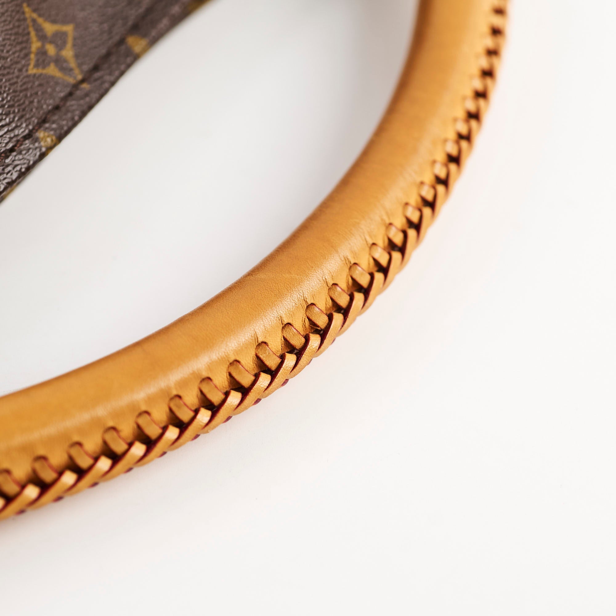 Louis Vuitton Artsy MM Monogram