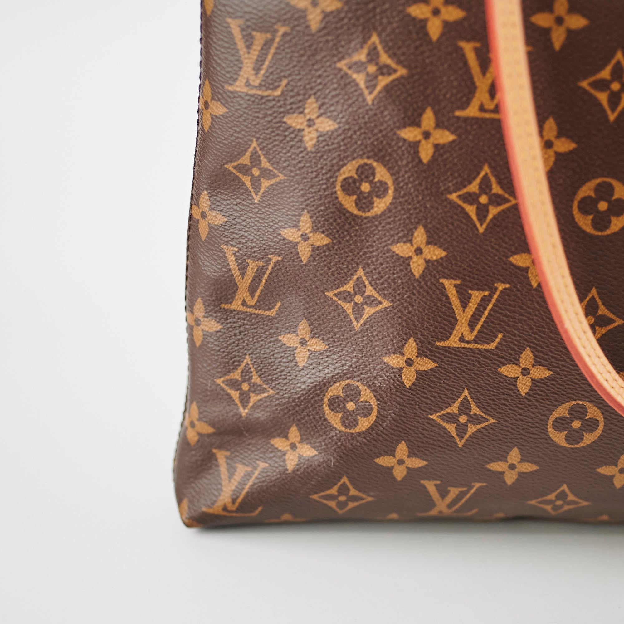 Louis Vuitton Carry All Tote Monogram