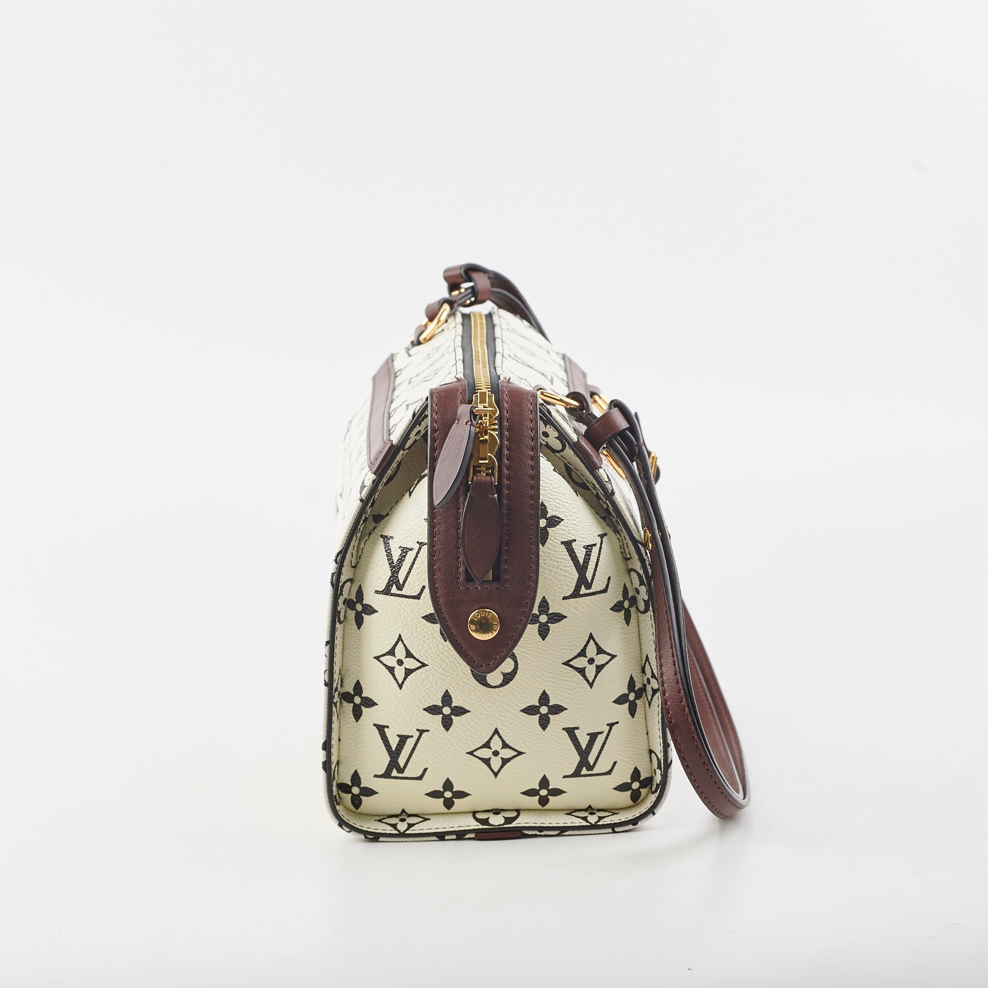 Louis Vuitton Amazon Speedy PM Monogram