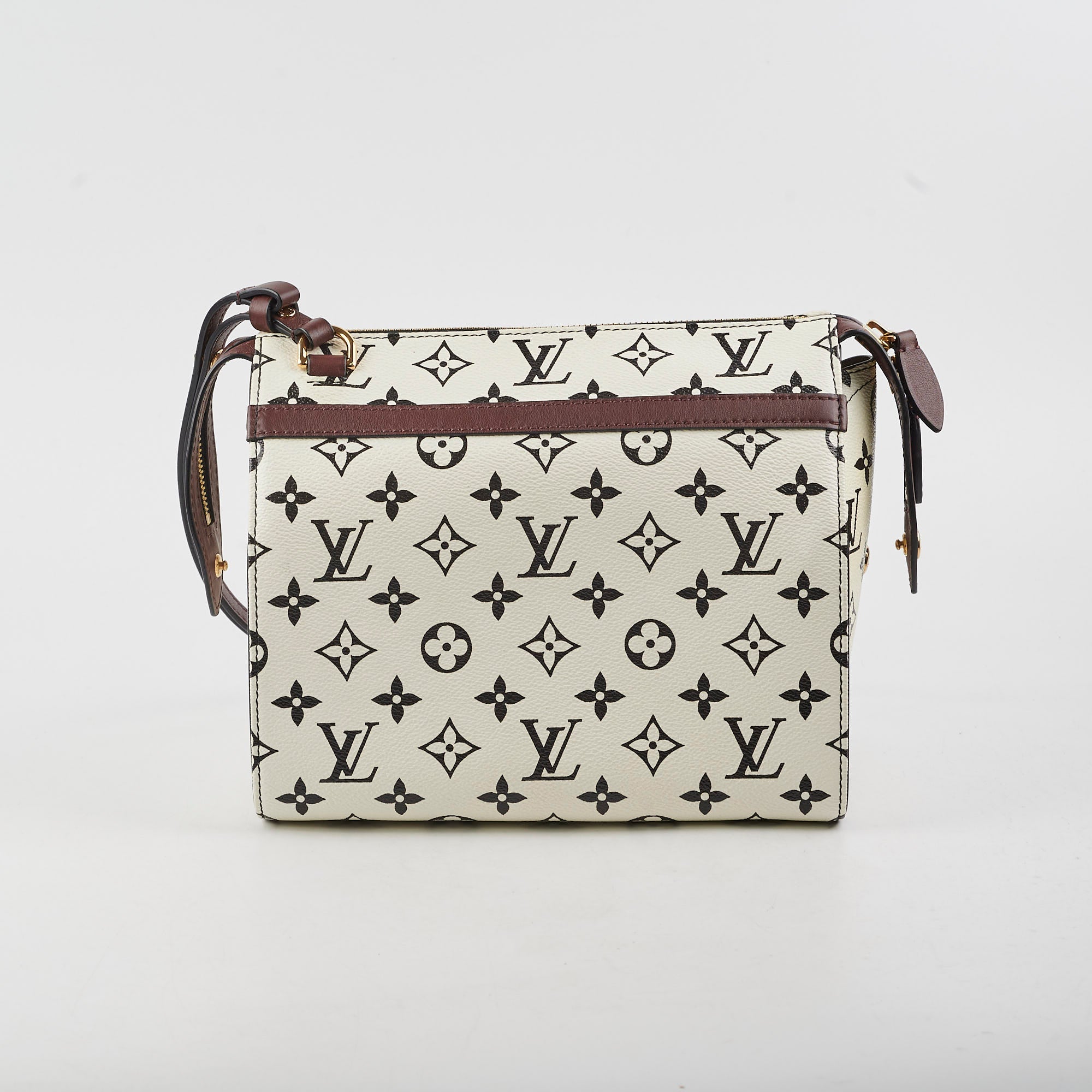 Louis Vuitton Amazon Speedy PM Monogram