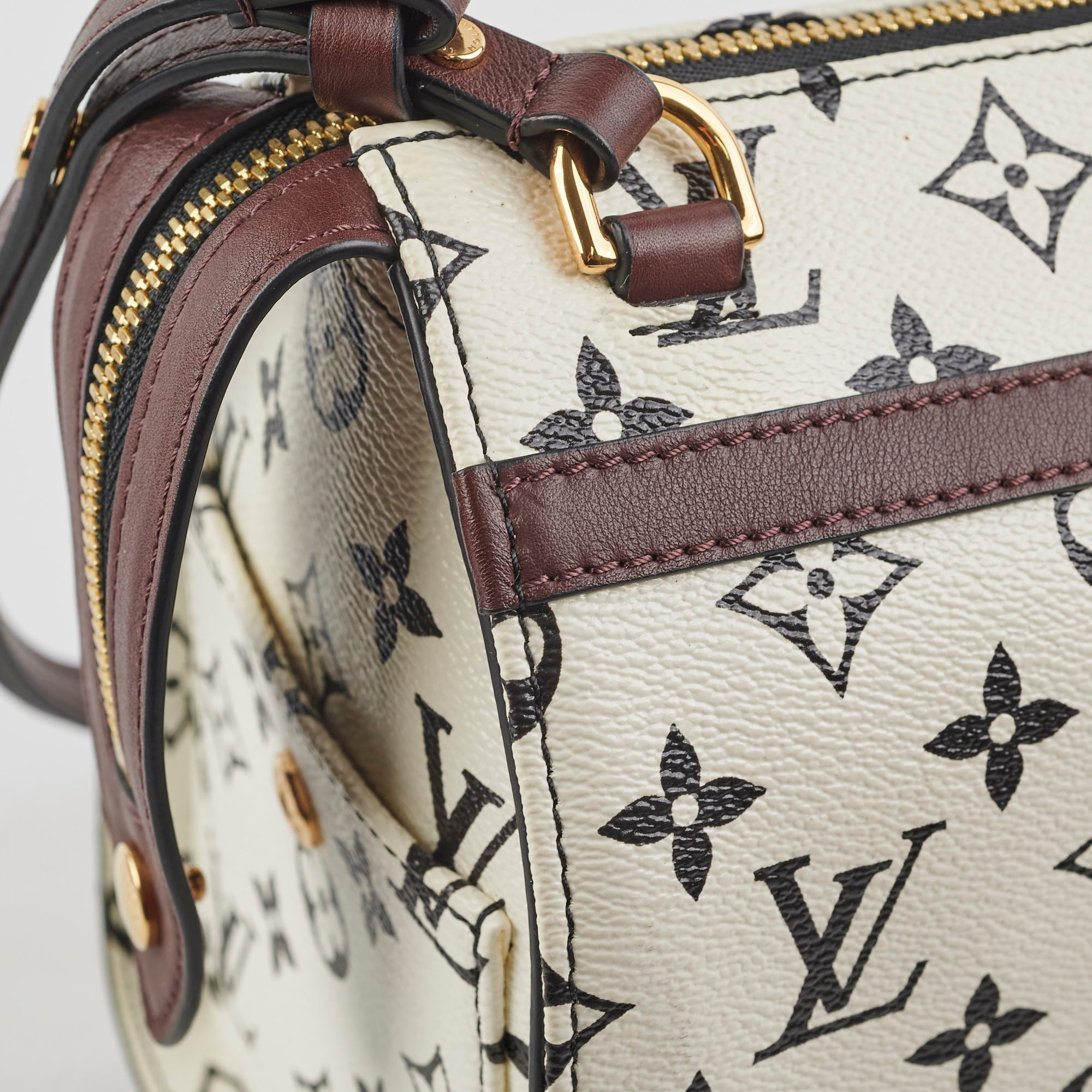 Louis Vuitton Amazon Speedy PM Monogram