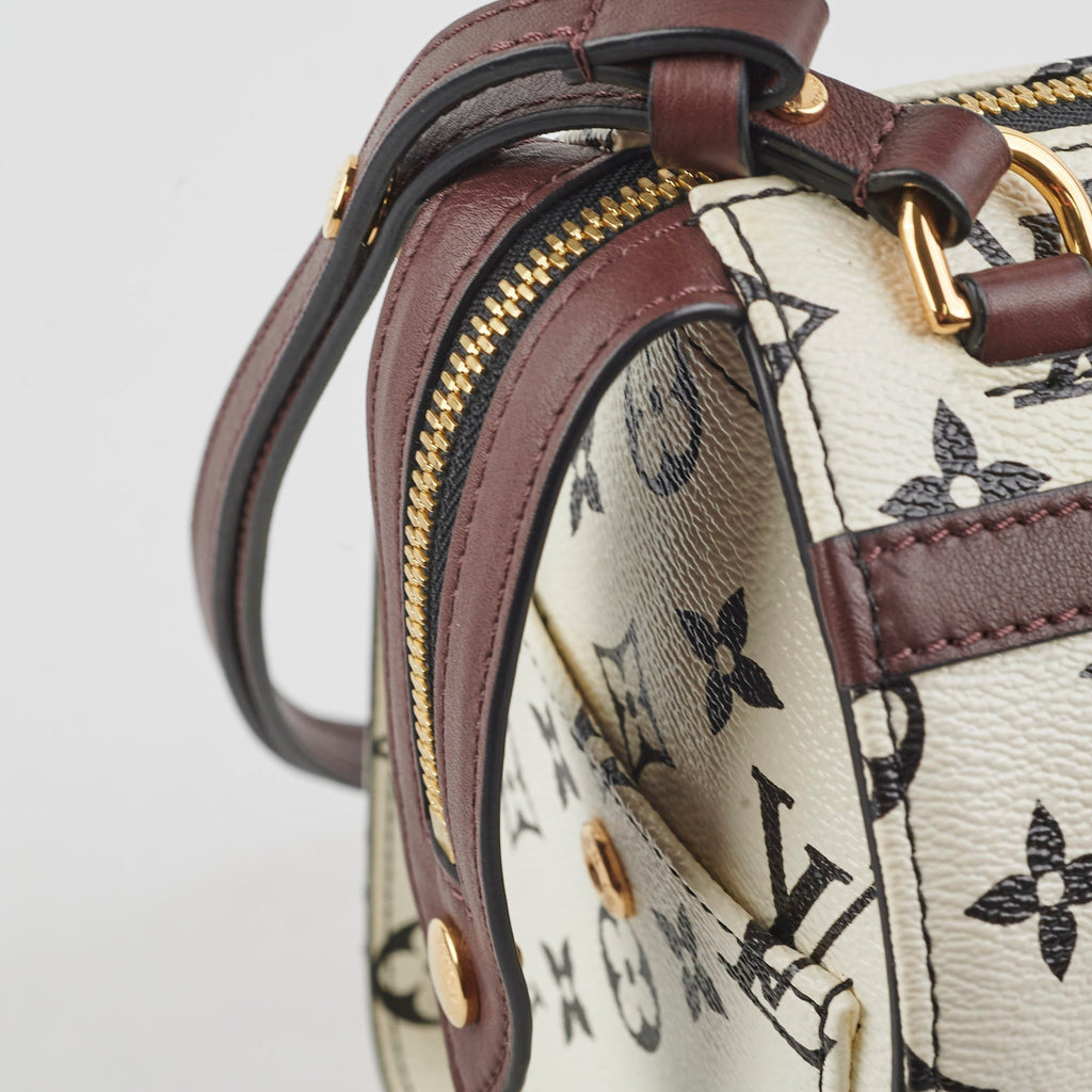 Louis Vuitton Amazon Speedy PM Monogram