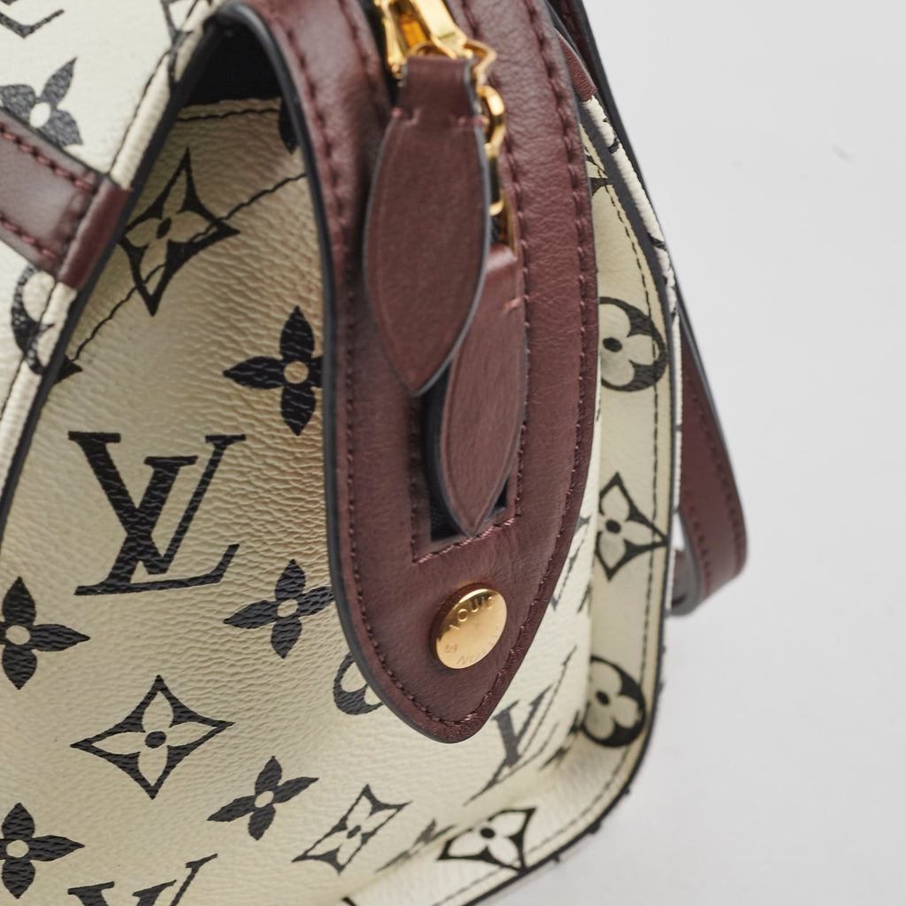 Louis Vuitton Amazon Speedy PM Monogram