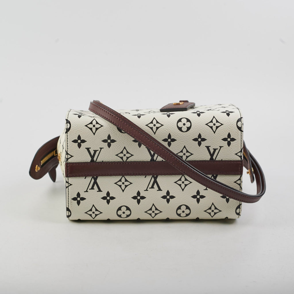 Louis Vuitton Amazon Speedy PM Monogram