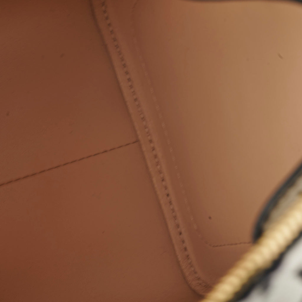Louis Vuitton Amazon Speedy PM Monogram