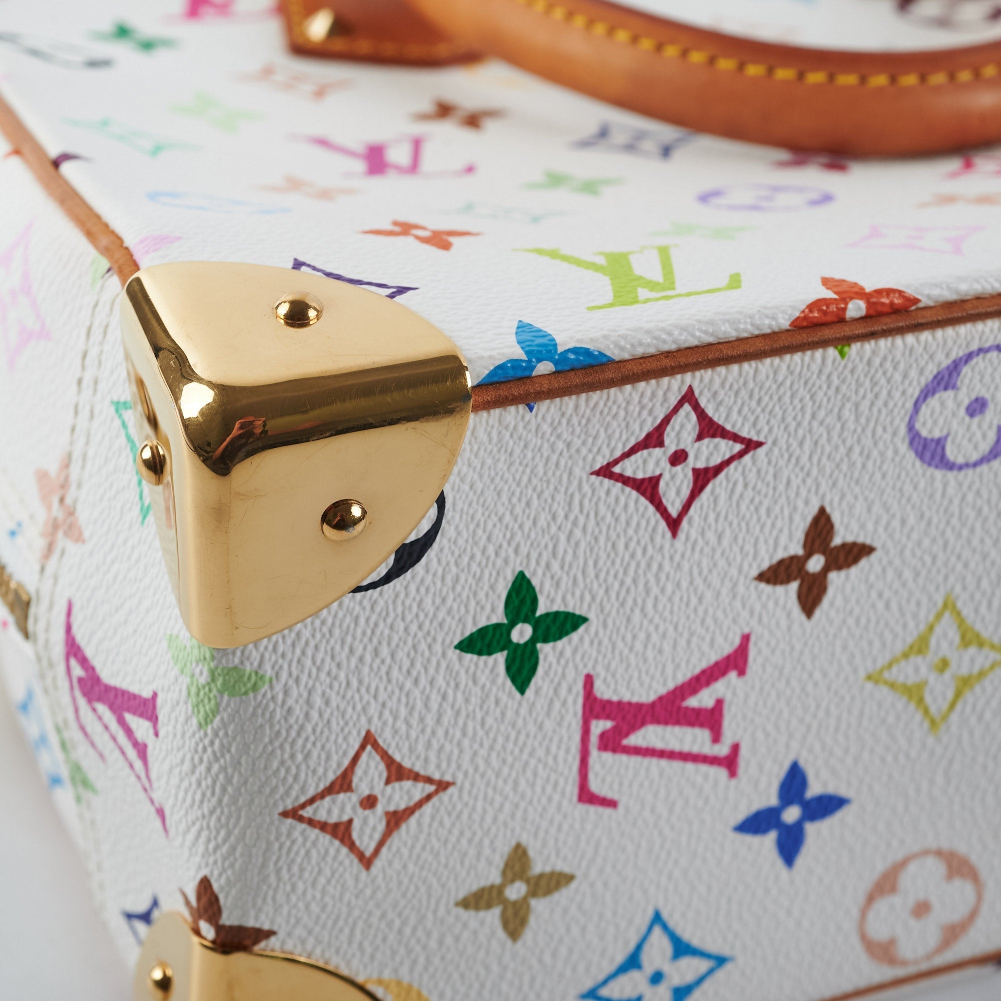 Louis Vuitton Multicolor Trouville