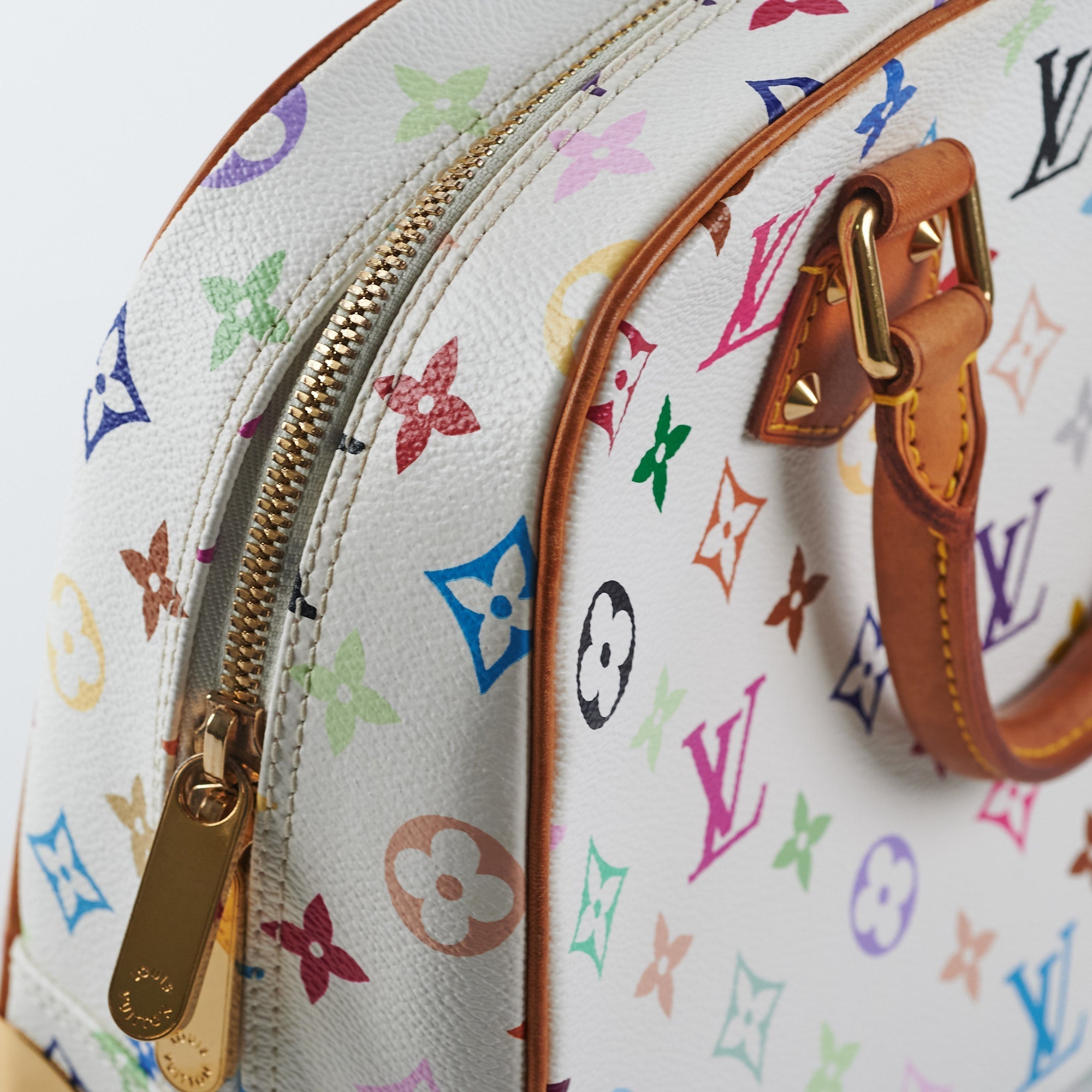 Louis Vuitton Multicolor Trouville