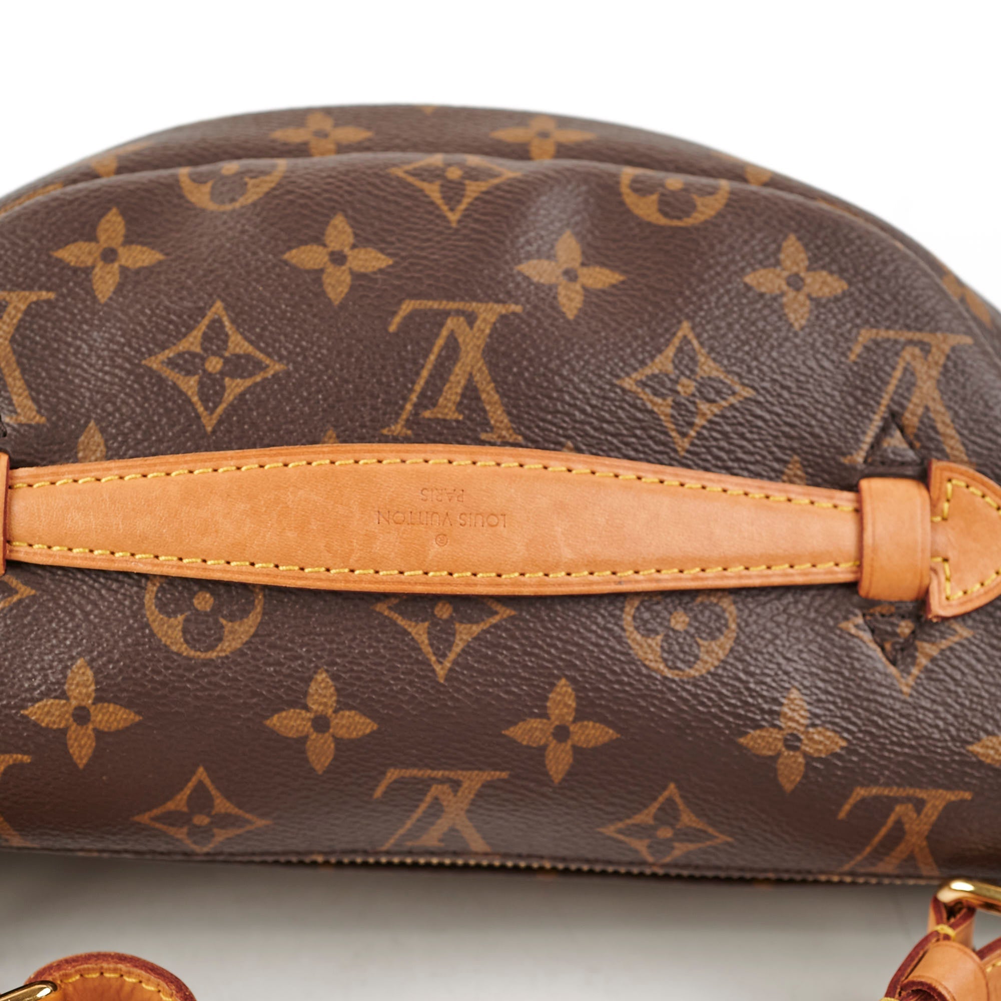 Louis Vuitton Bumbag Monogram