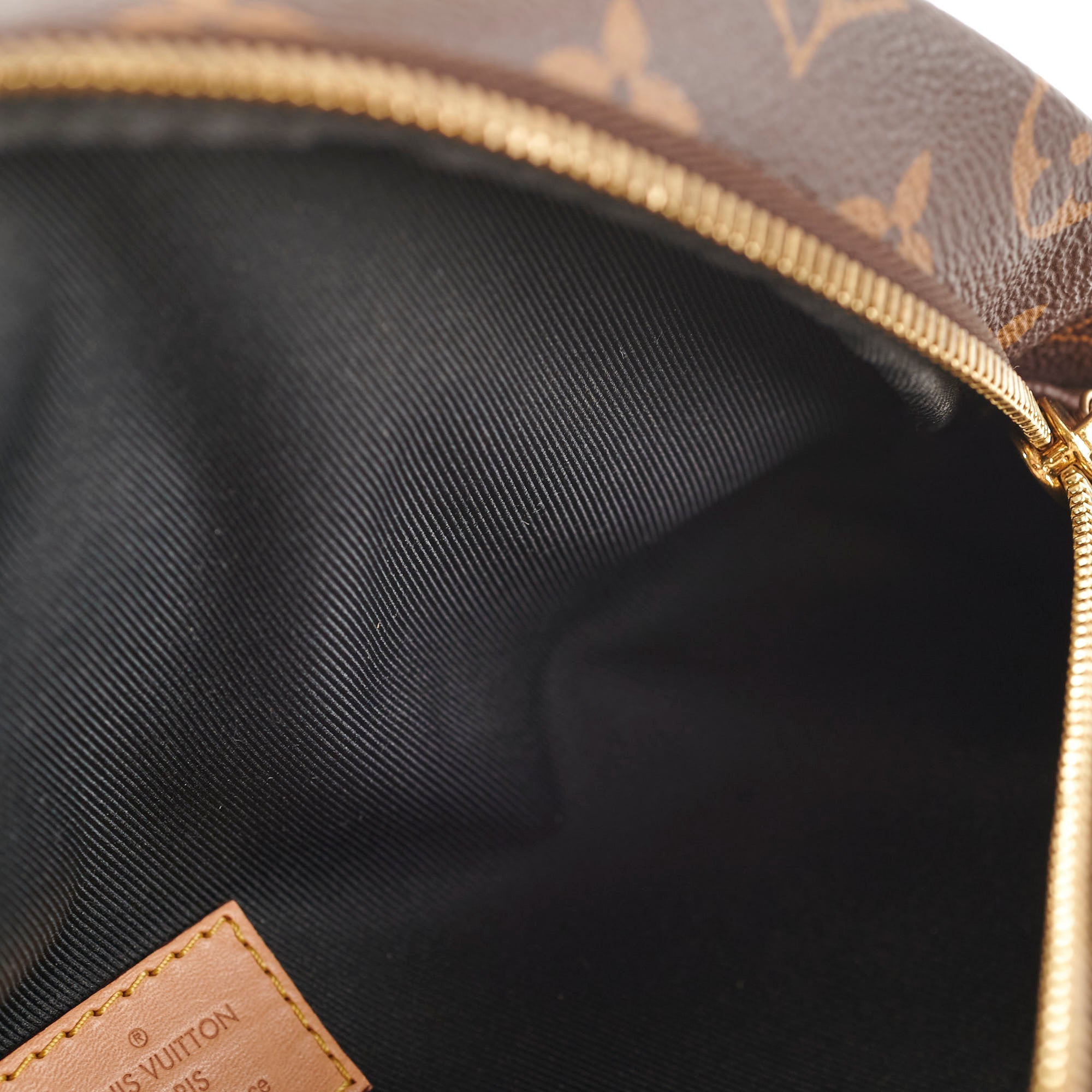 Louis Vuitton Bumbag Monogram