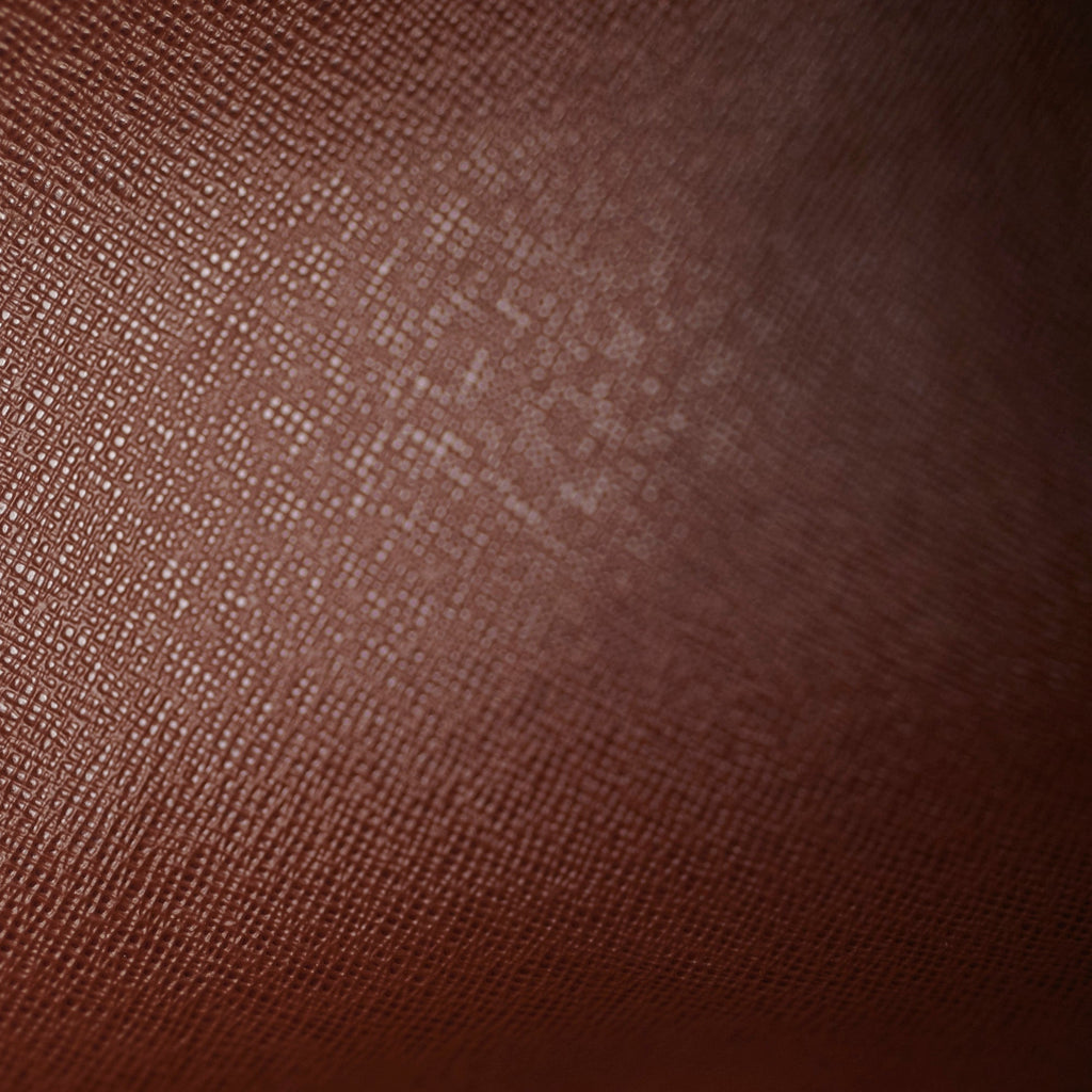 Louis Vuitton Monogram Papillon